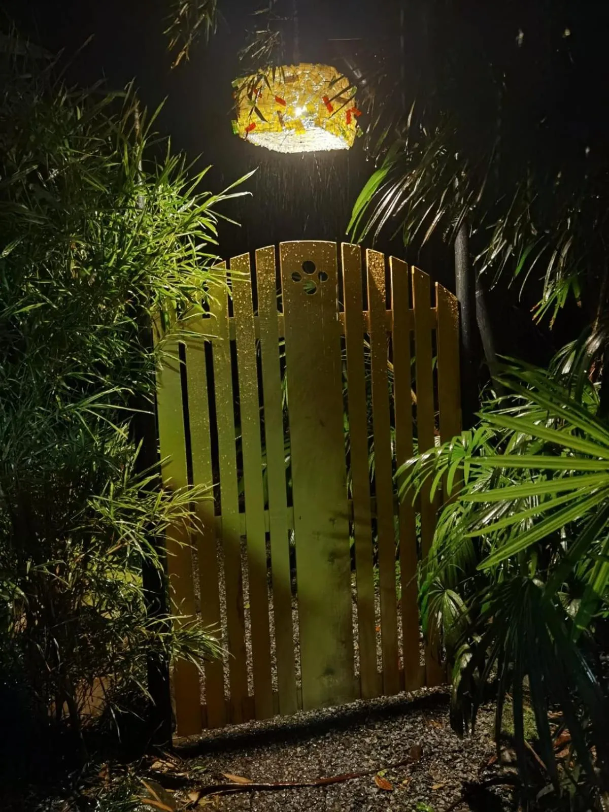 Night in Chirripo Art Hotel