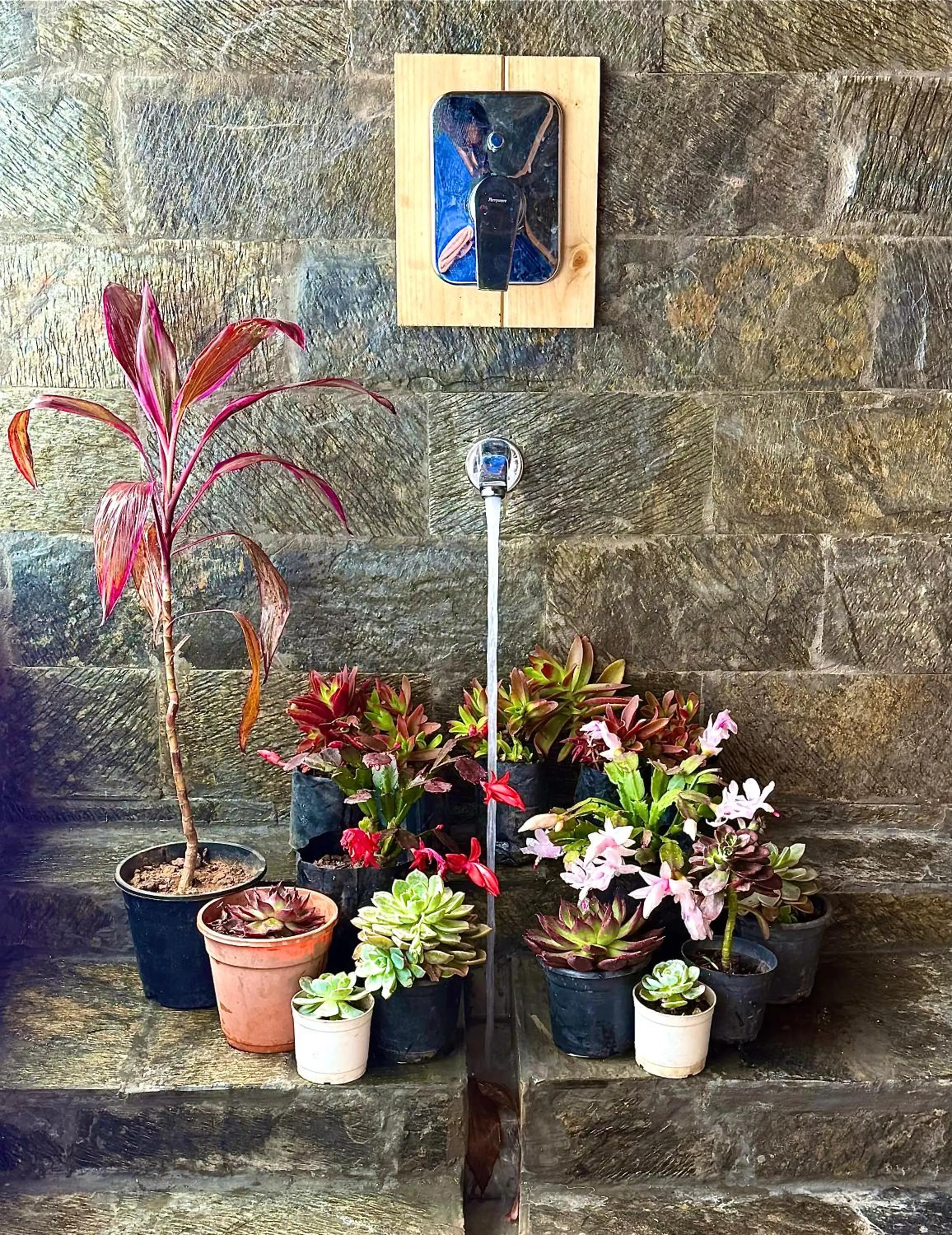 The Soul Stroll Cottages Retreat