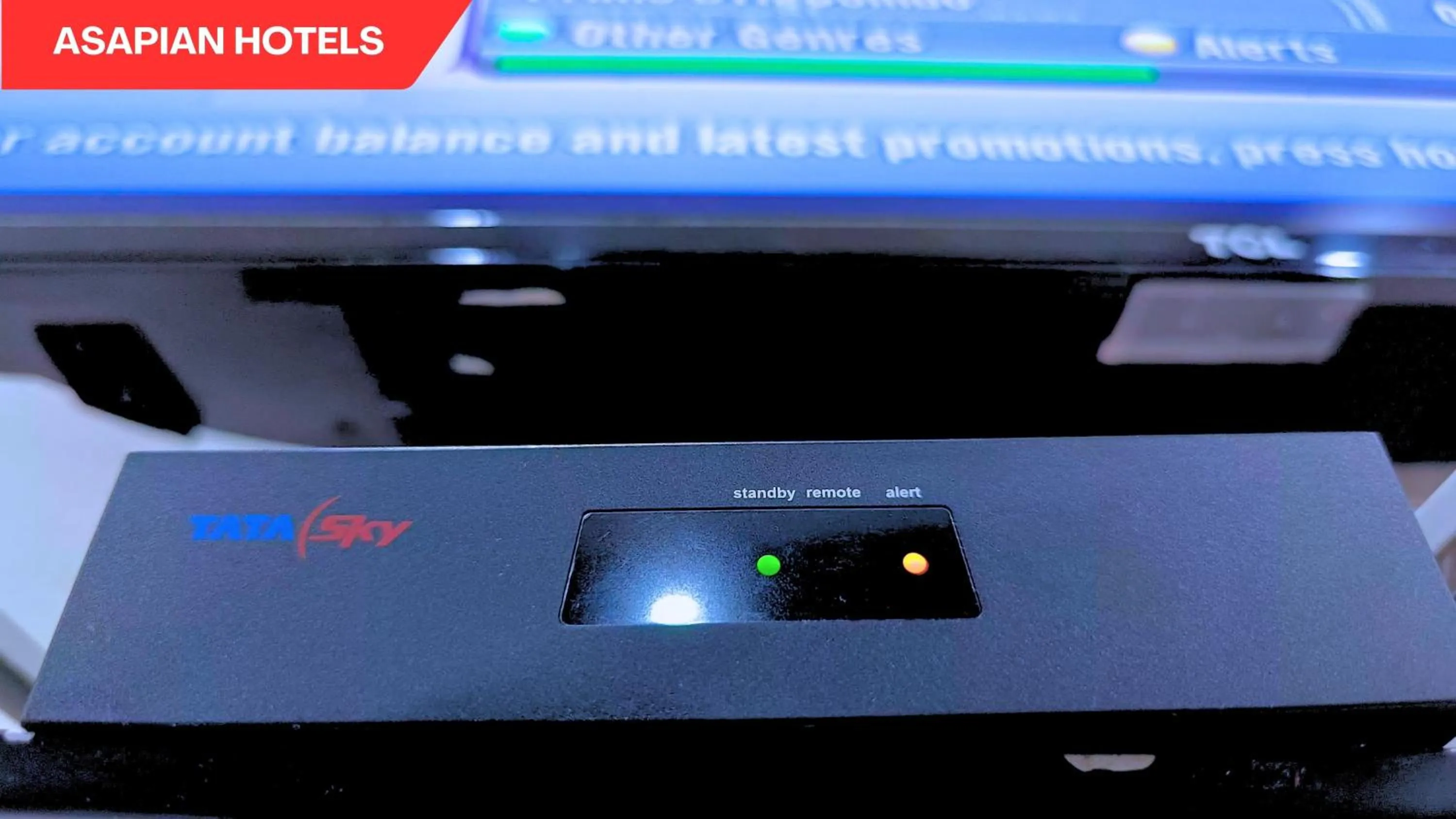 TV and multimedia in Hotel Vijay Deluxe