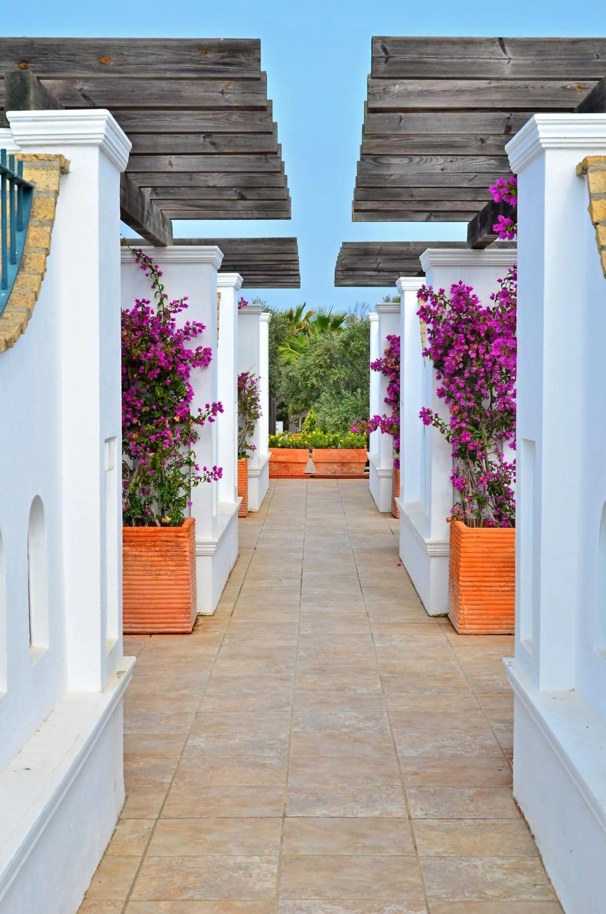 Garden in Apartamentos Piedramar