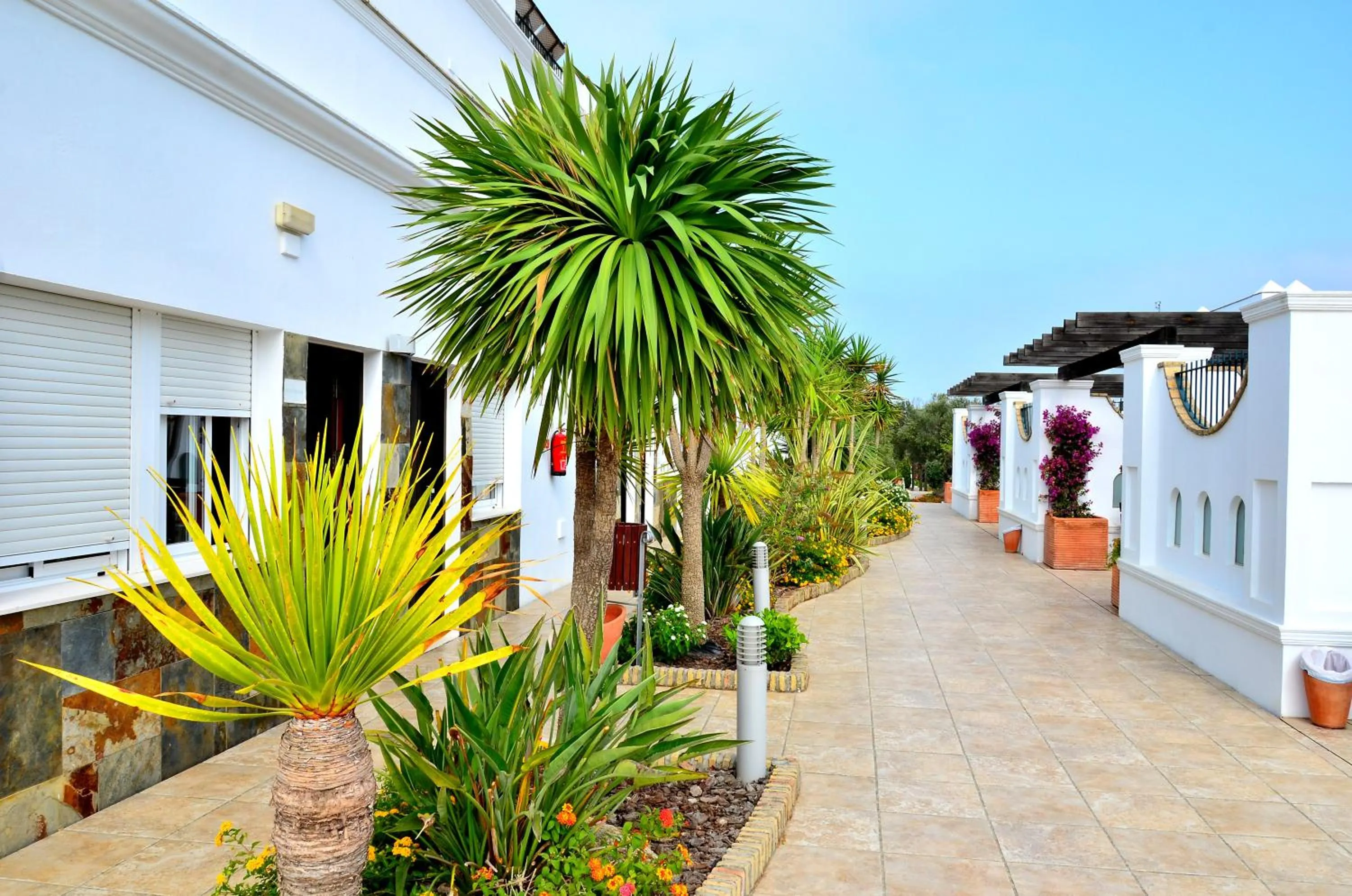 Facade/entrance in Apartamentos Piedramar