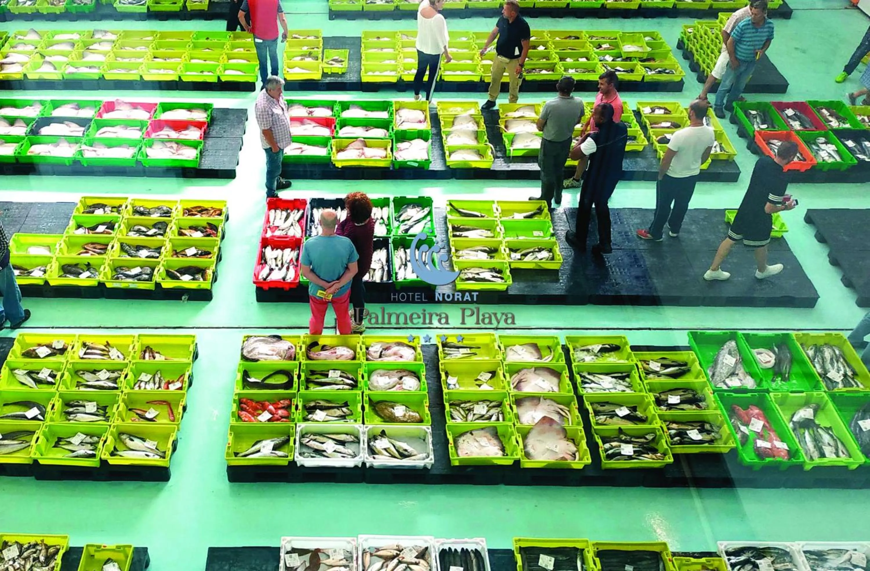 Hotel Norat Palmeira Playa