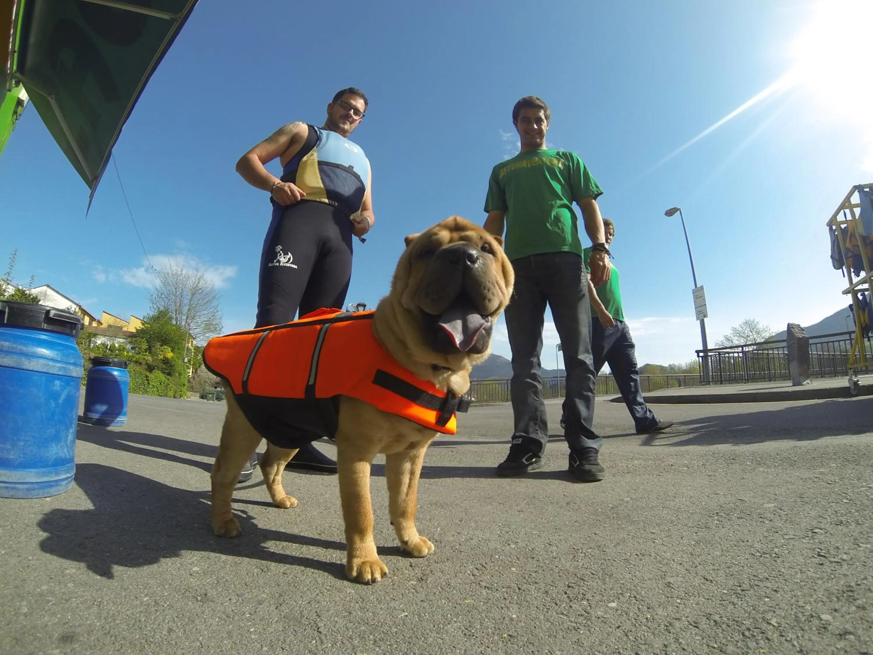 Animals in Conjunto Hotelero La Pasera