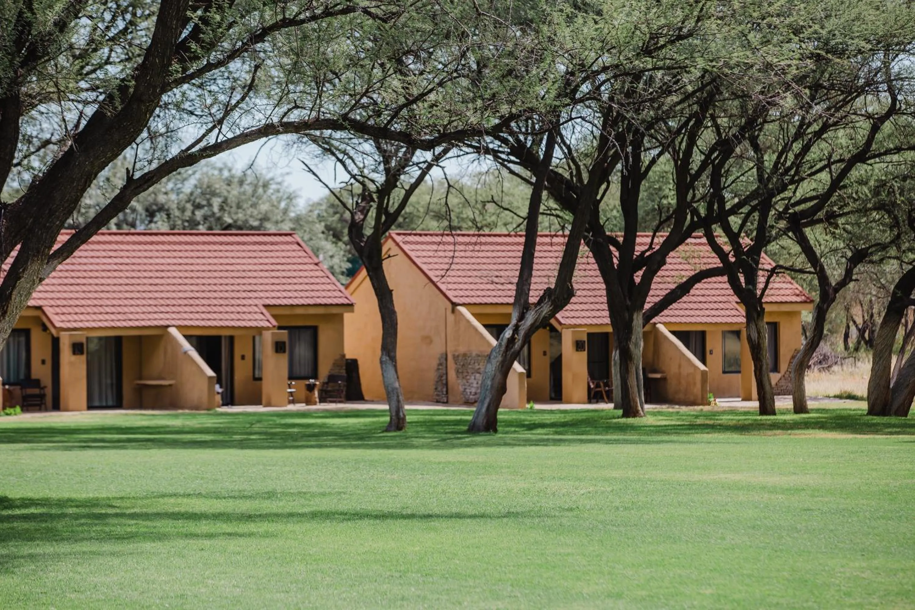 Property building in Okapuka Safari Lodge