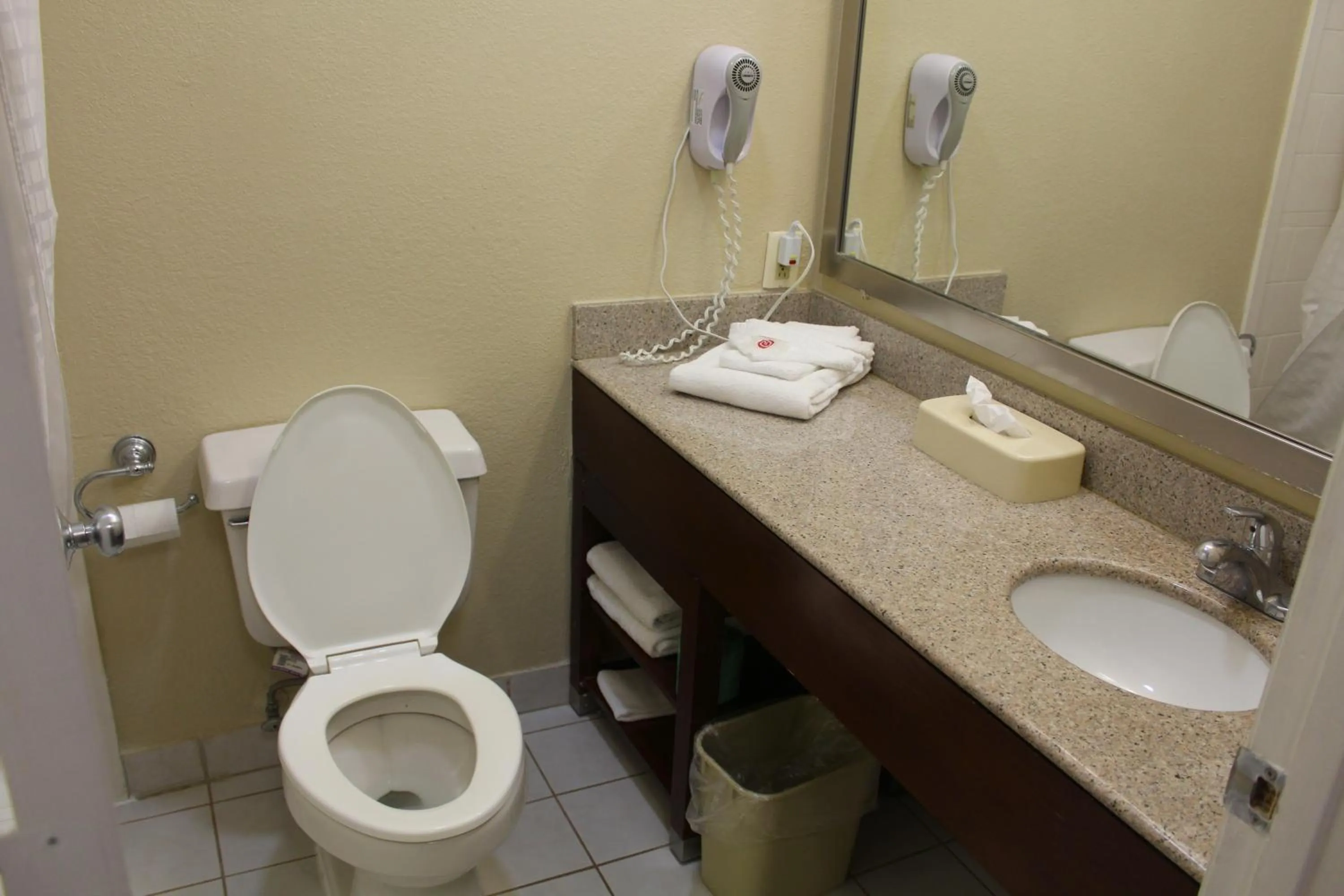 Toilet in Bristol Arcadia Inn