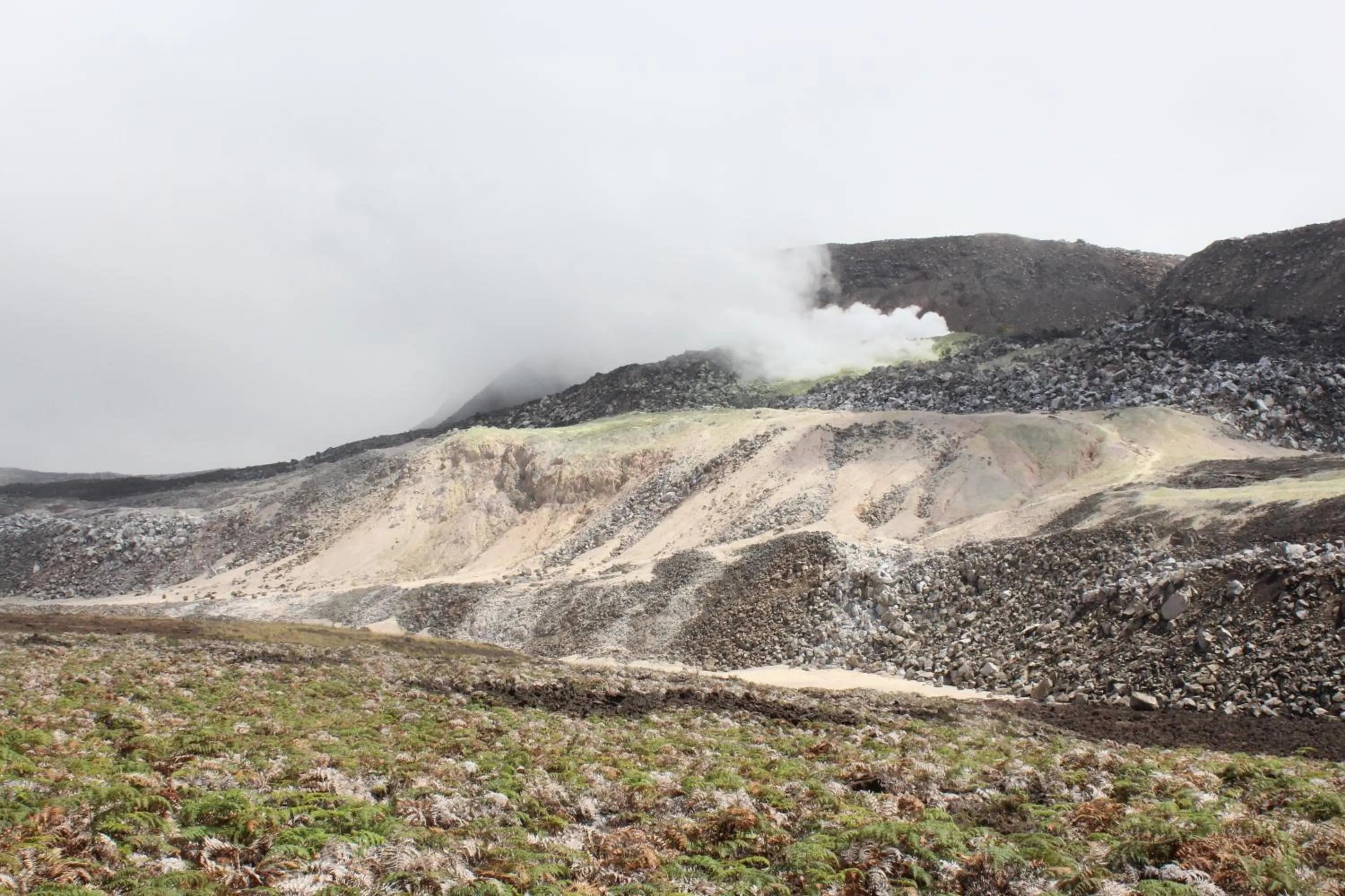 Day in Mi Playa Galapagos Beachfront Apartments