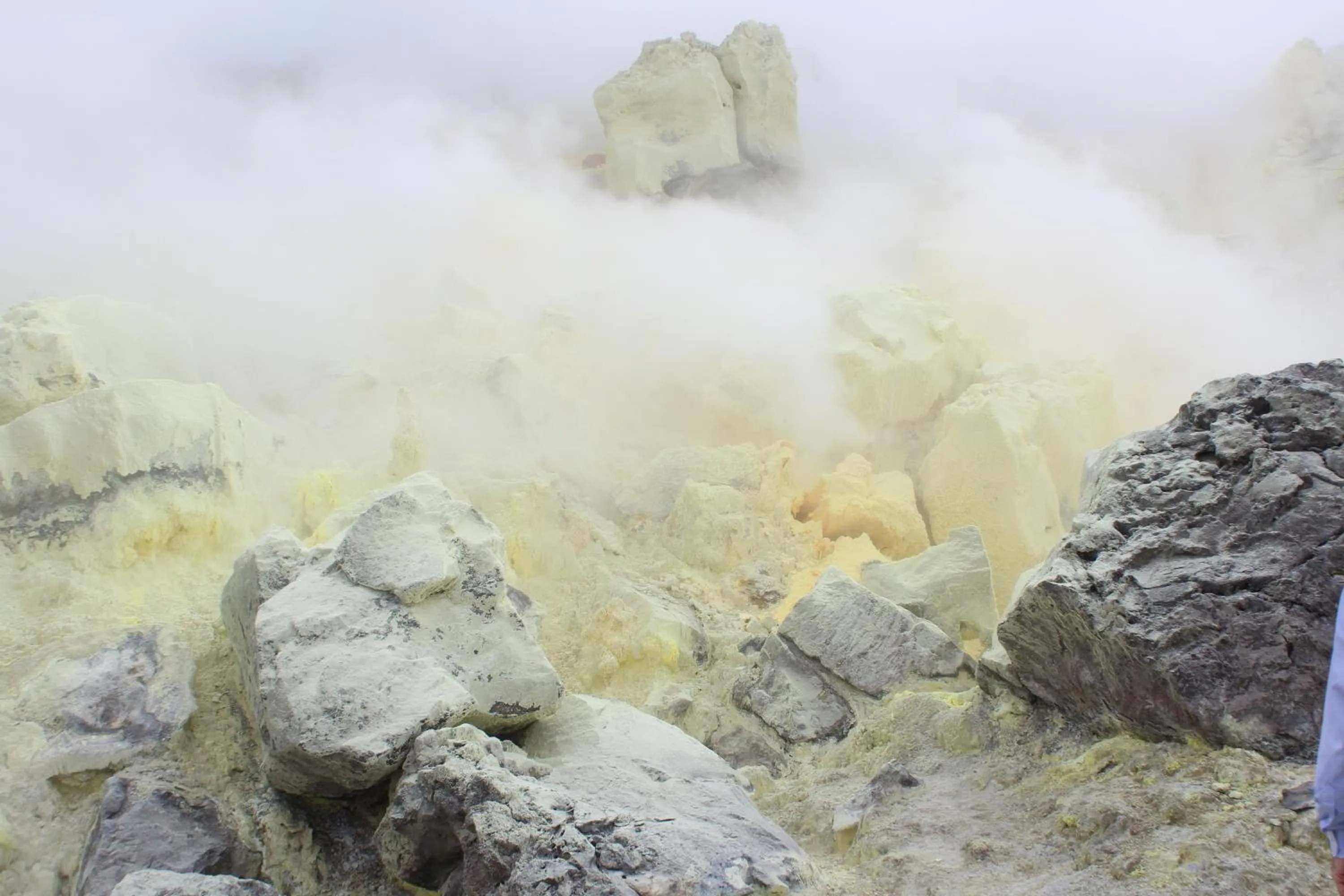 Day in Mi Playa Galapagos Beachfront Apartments