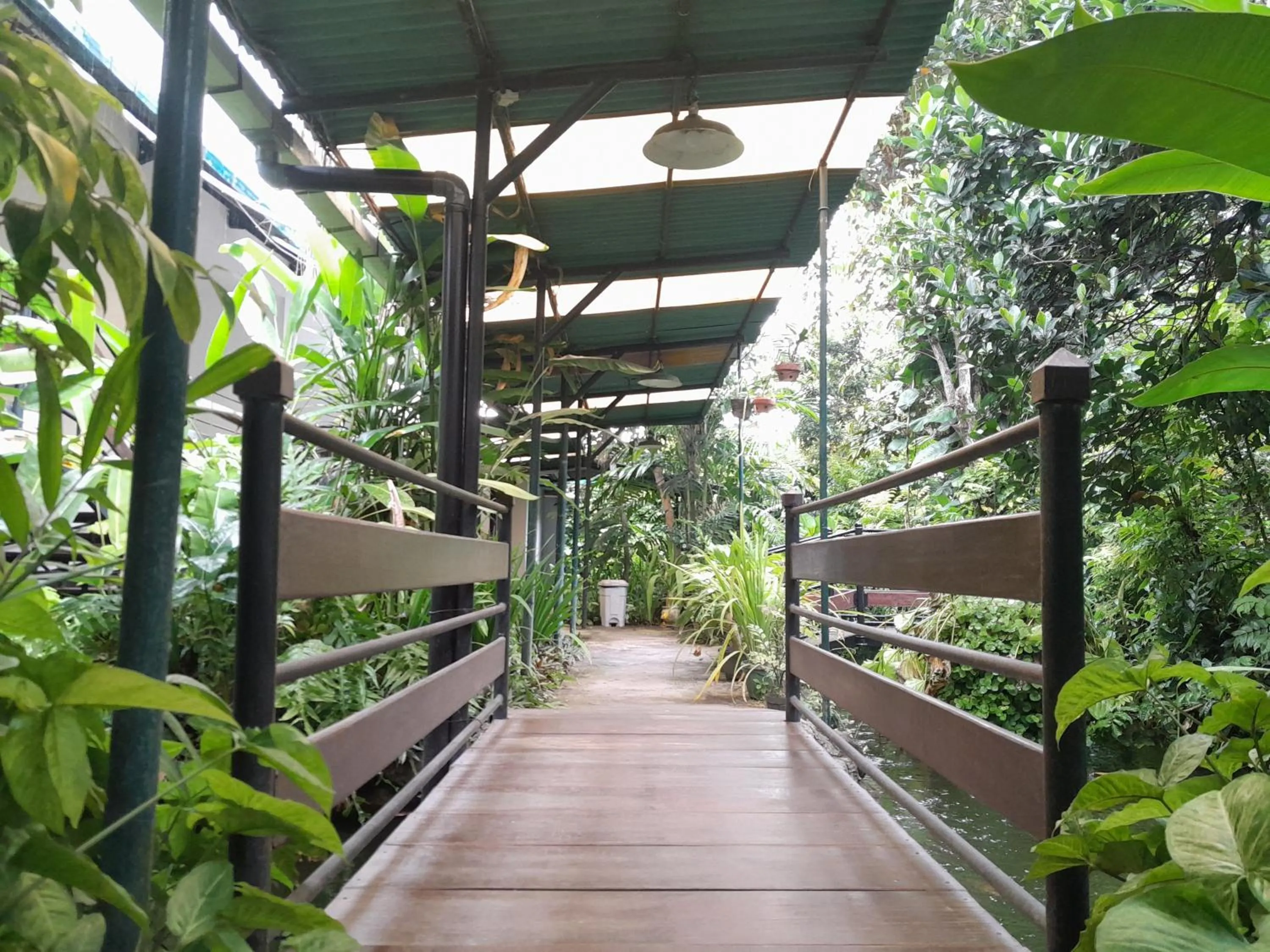 Garden view in The Green Winotosastro Hotel Yogyakarta