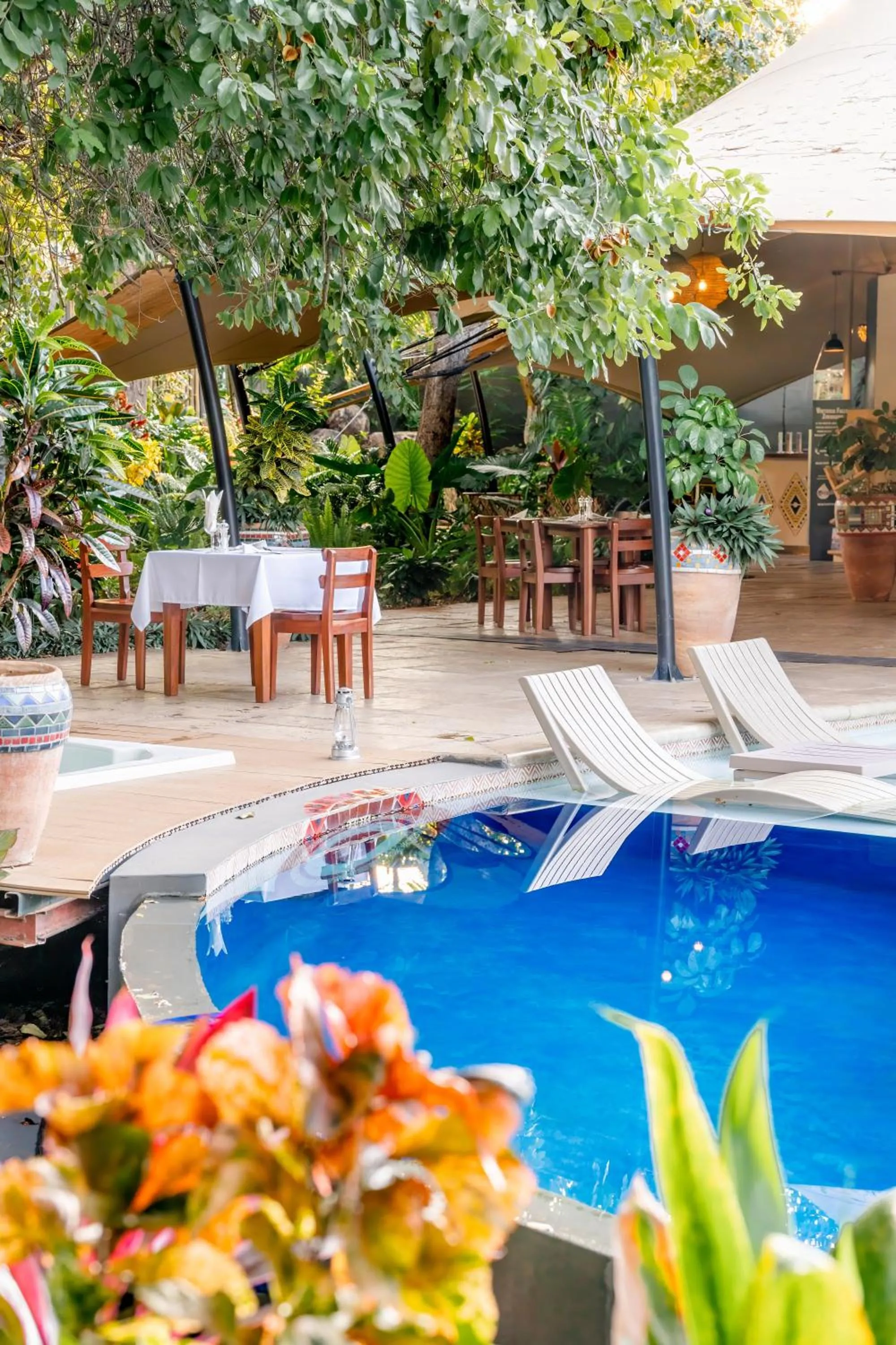 Swimming pool in Shongwe Oasis