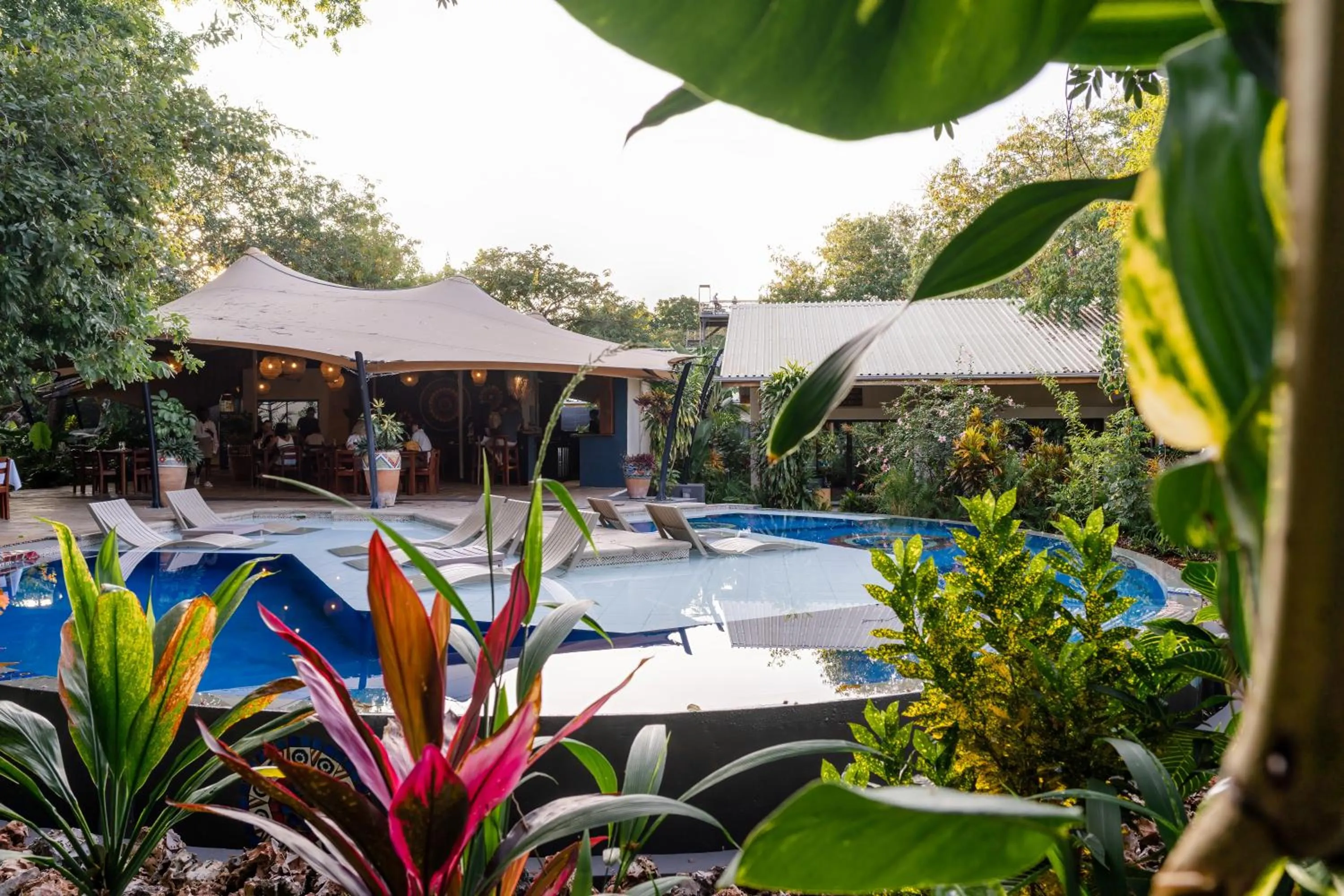 Swimming pool in Shongwe Oasis