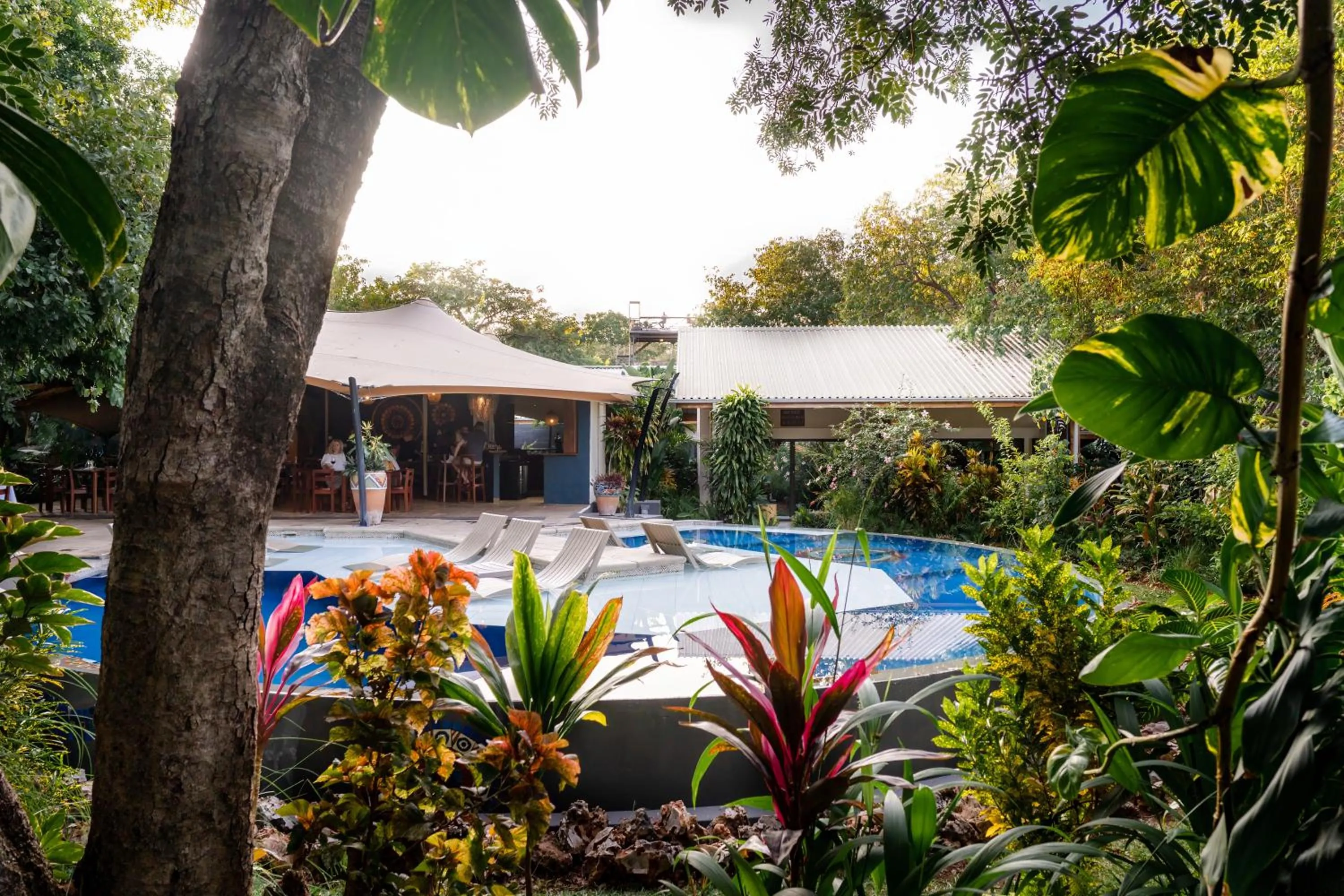 Swimming pool in Shongwe Oasis