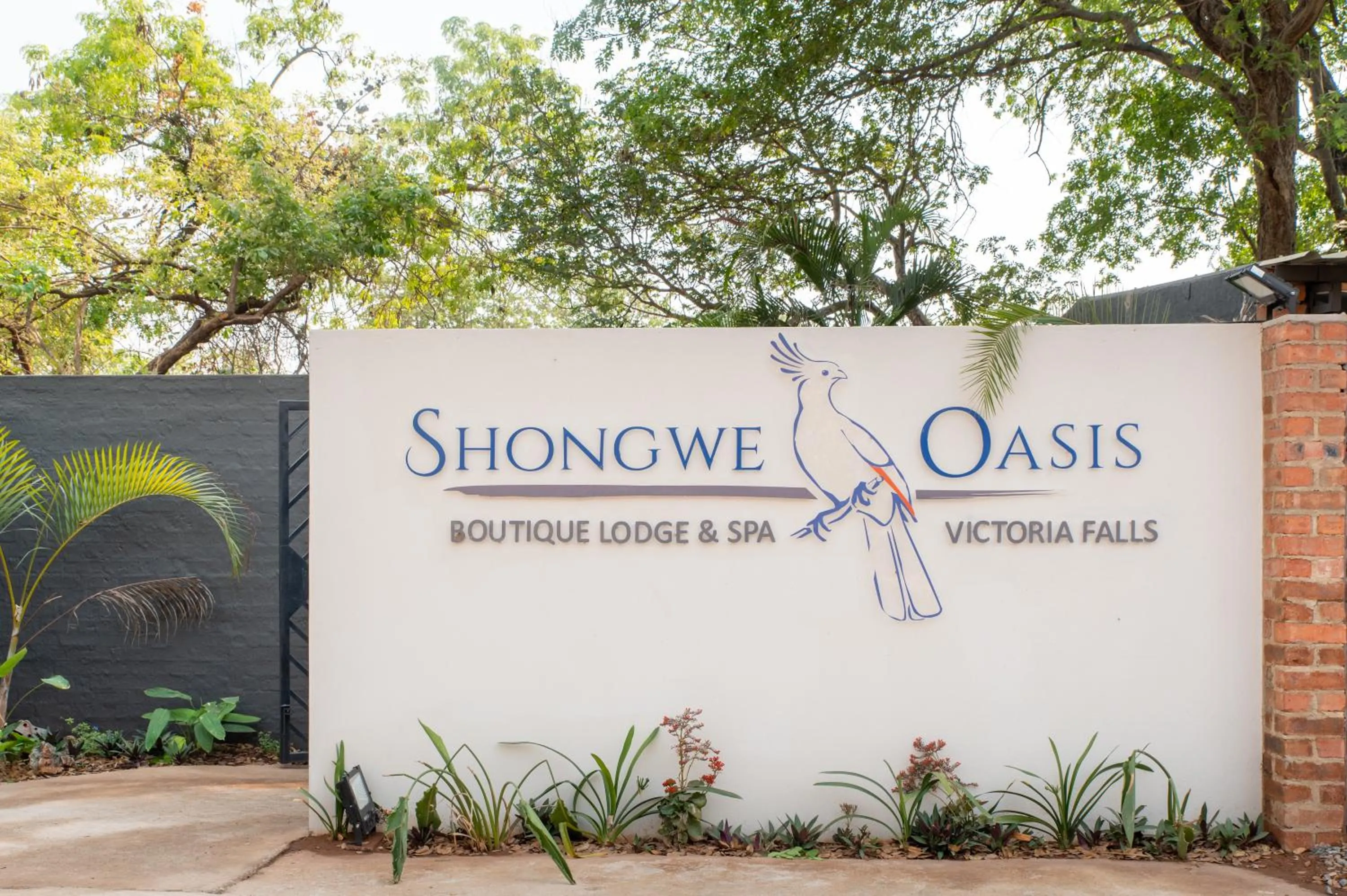 Property building in Shongwe Oasis