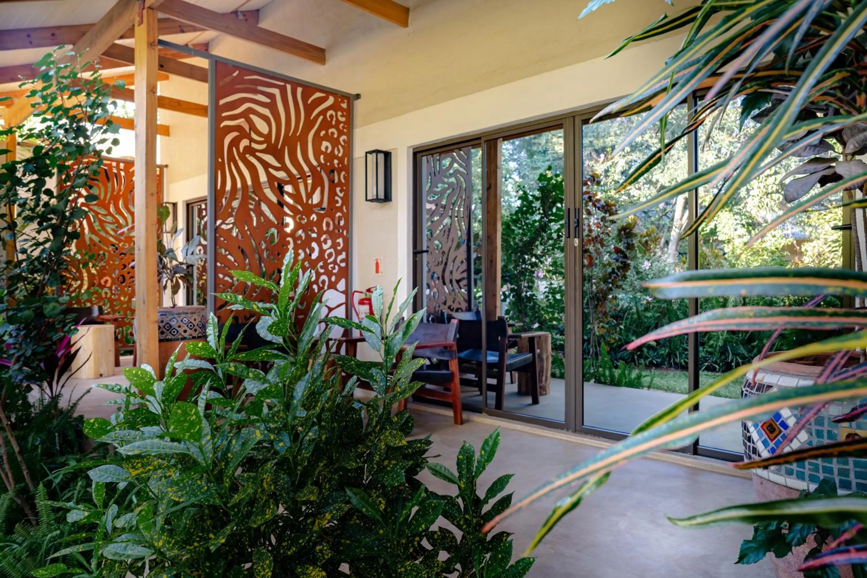 Garden view in Shongwe Oasis