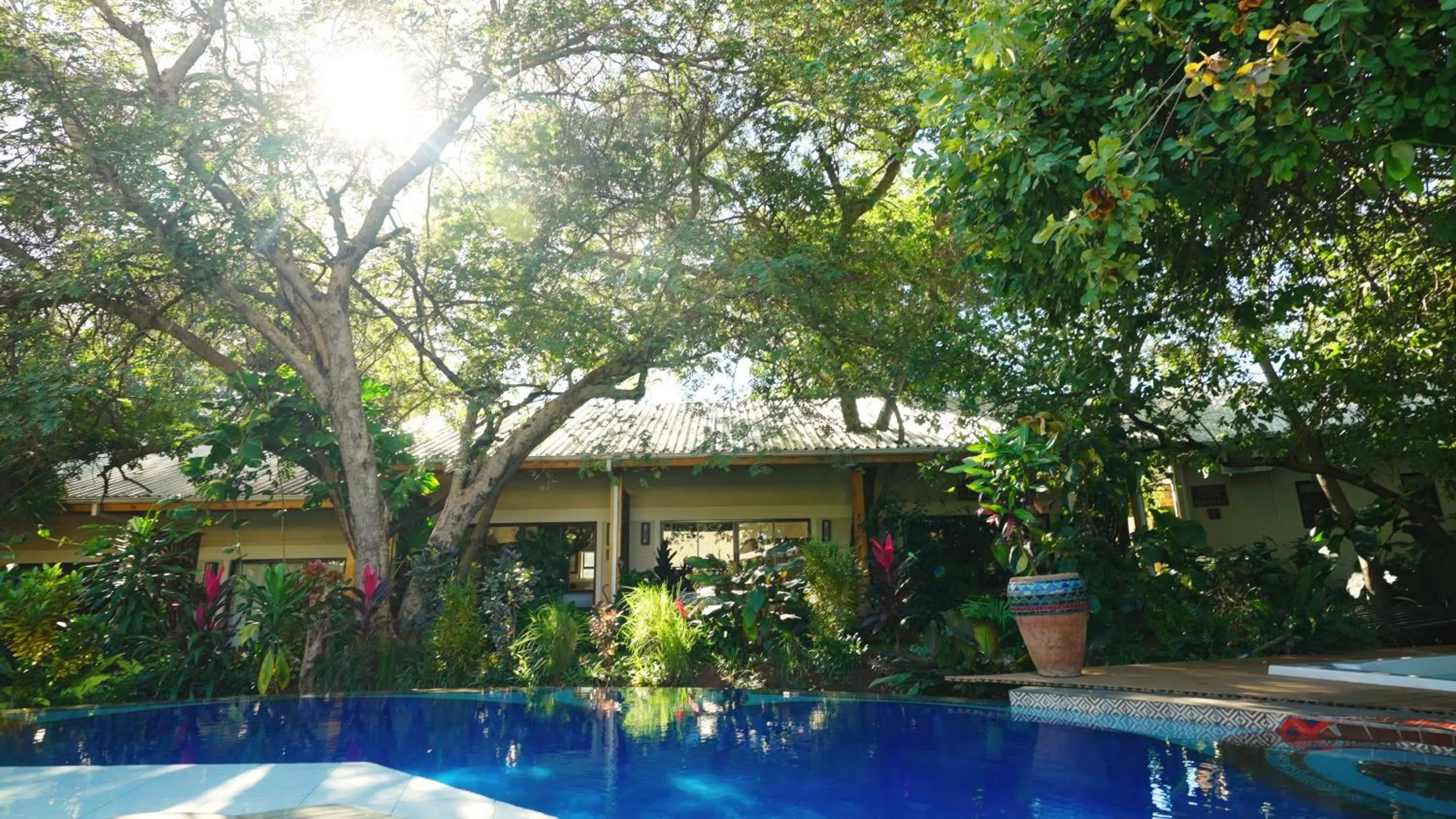 Swimming pool in Shongwe Oasis
