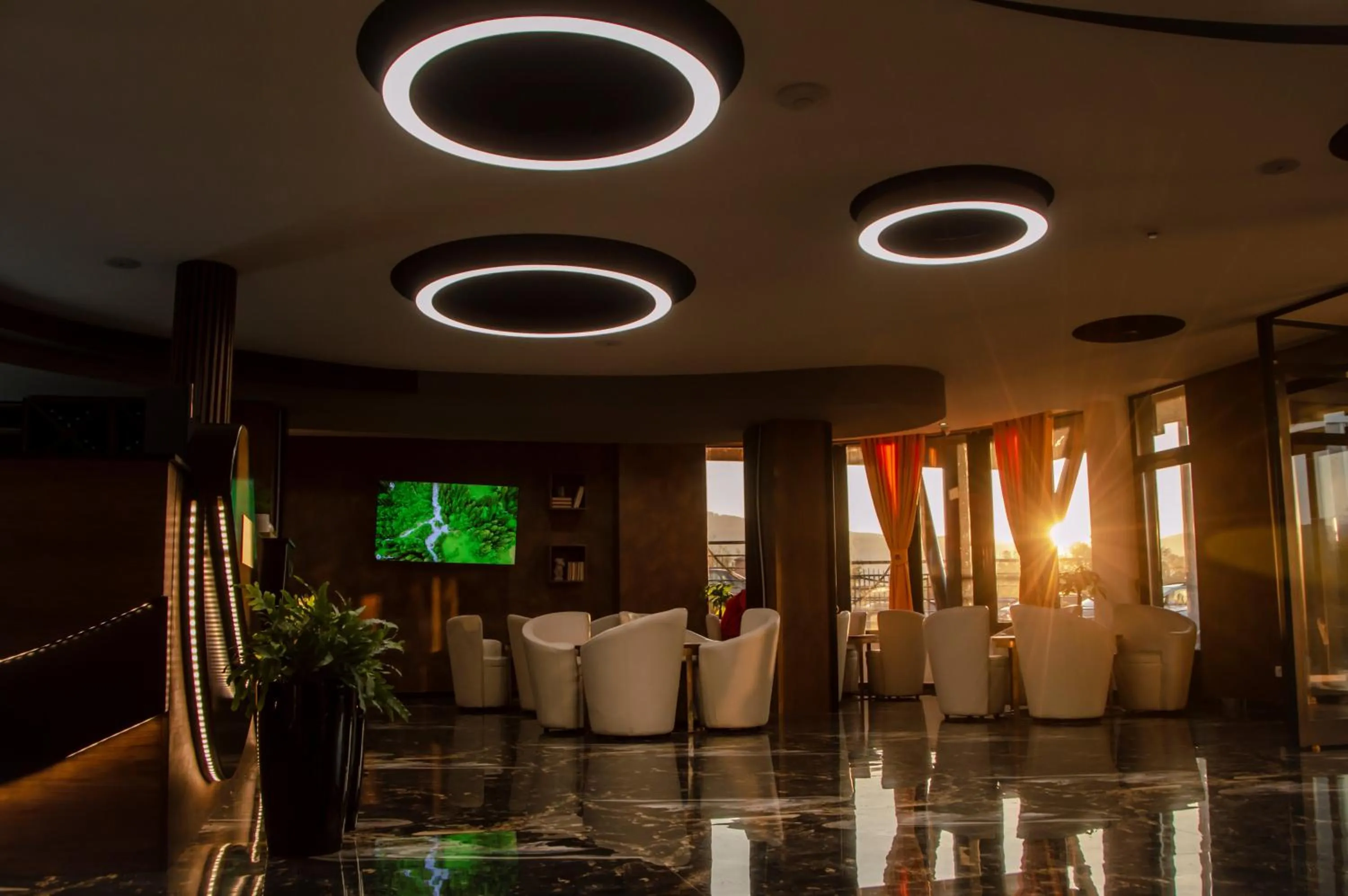Lounge or bar in Hotel Biga