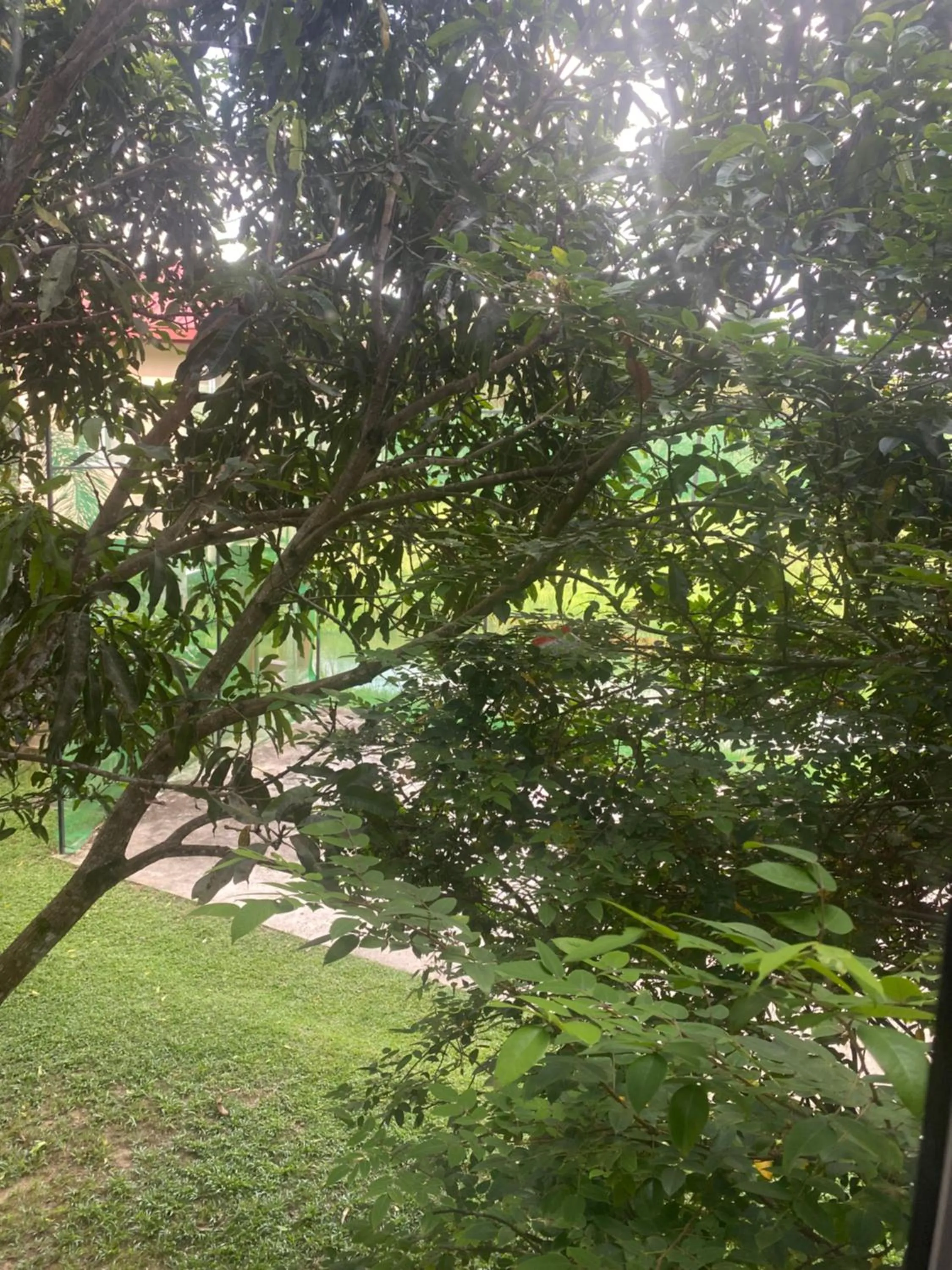 Garden view in Savenndra Resorts
