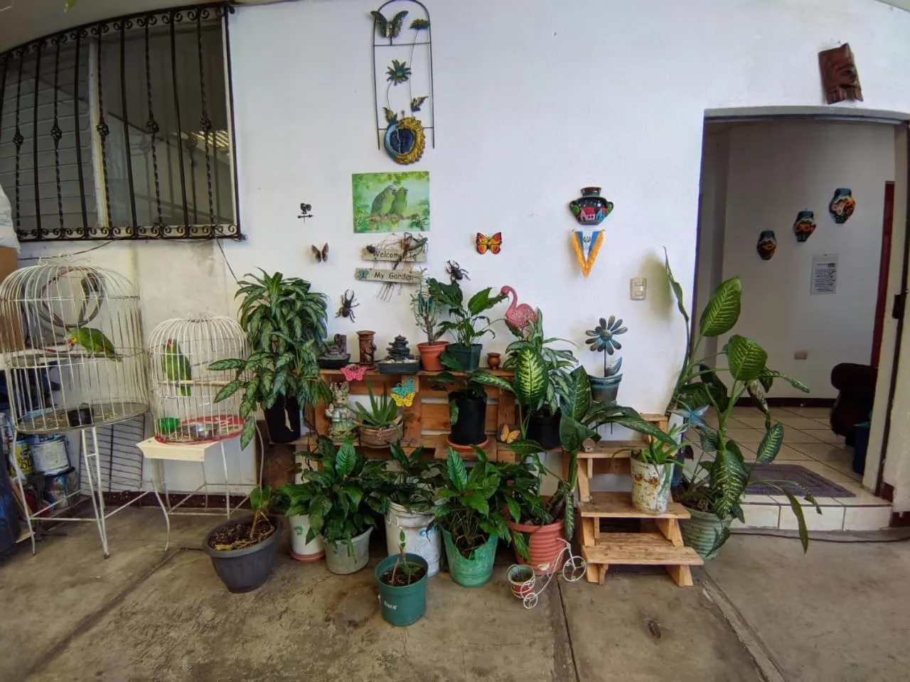 Garden in Hotel Bluehouse