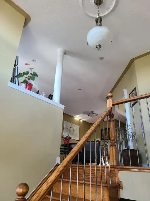 Top Floor of House in S Vaughan All to Yourself