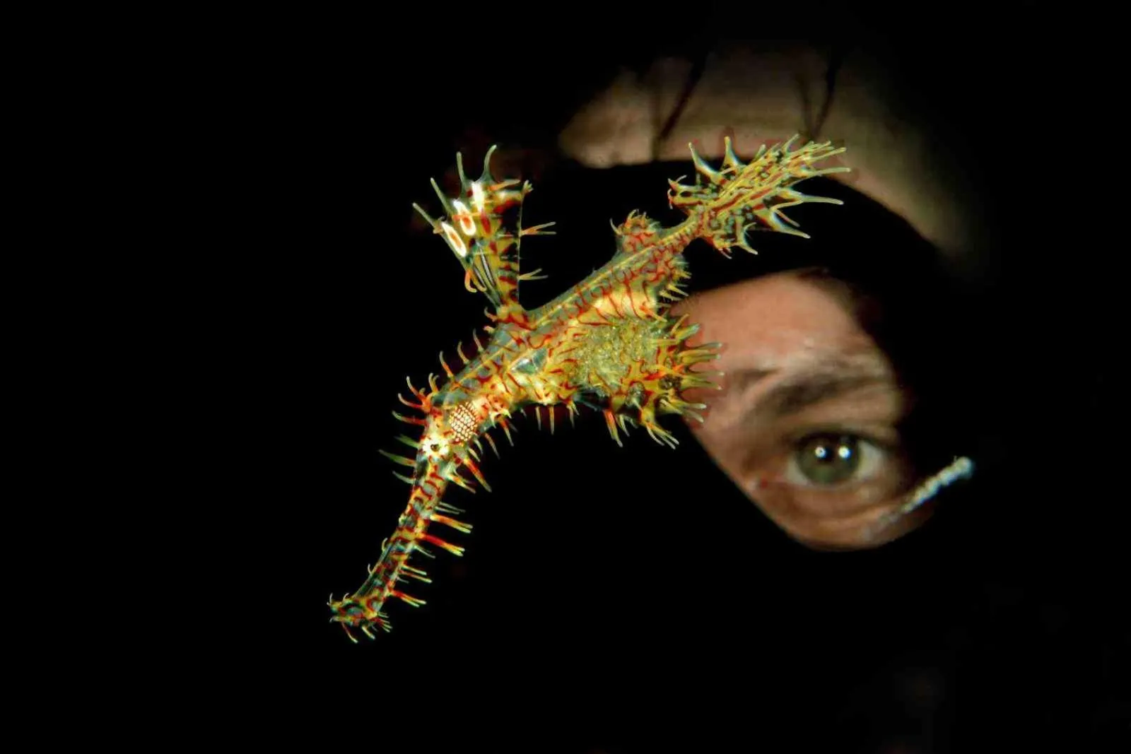 Night in Amila Dive Beach Resort