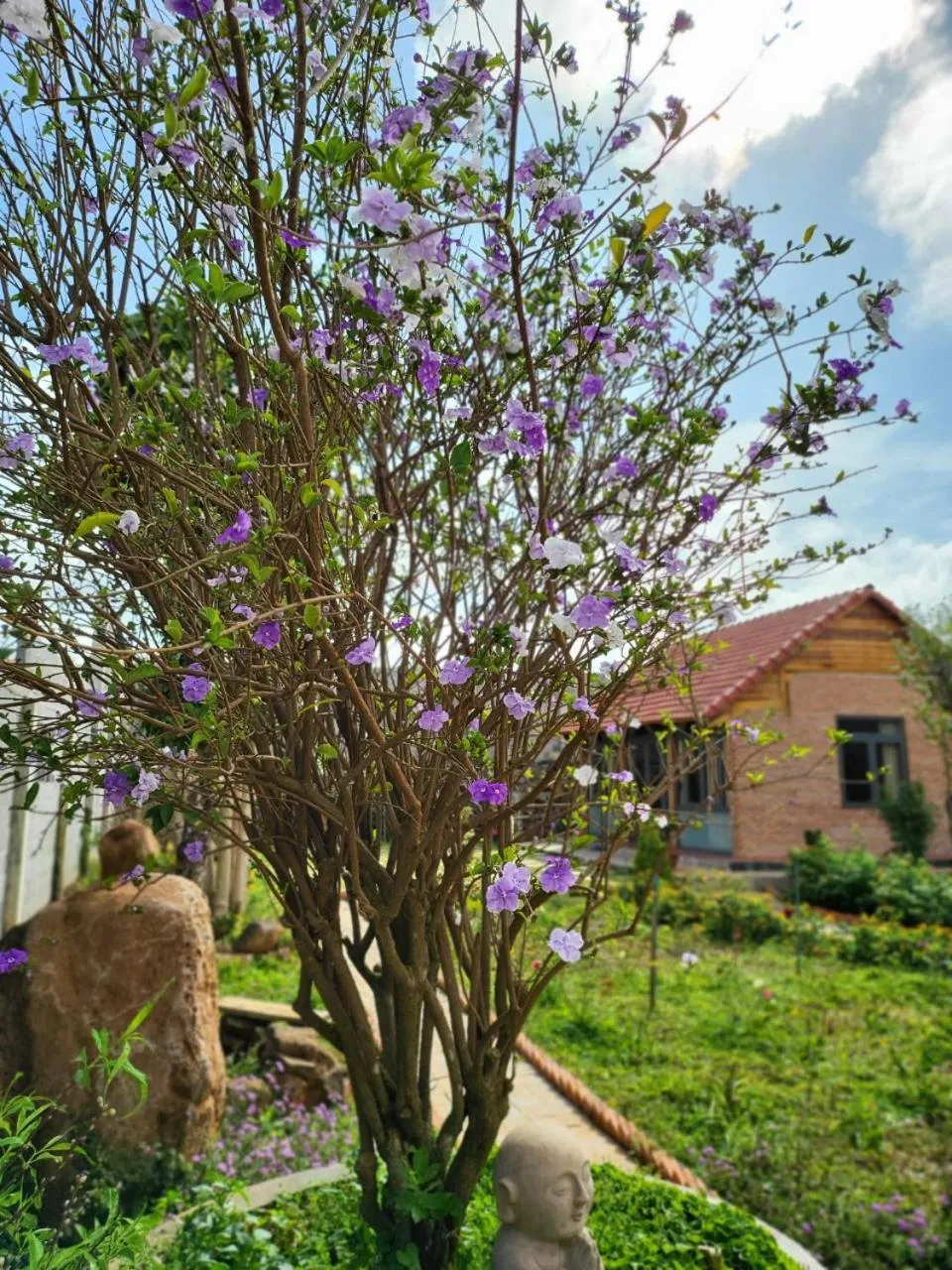 T'Farmstay villa and resort Buon Ma Thuot City