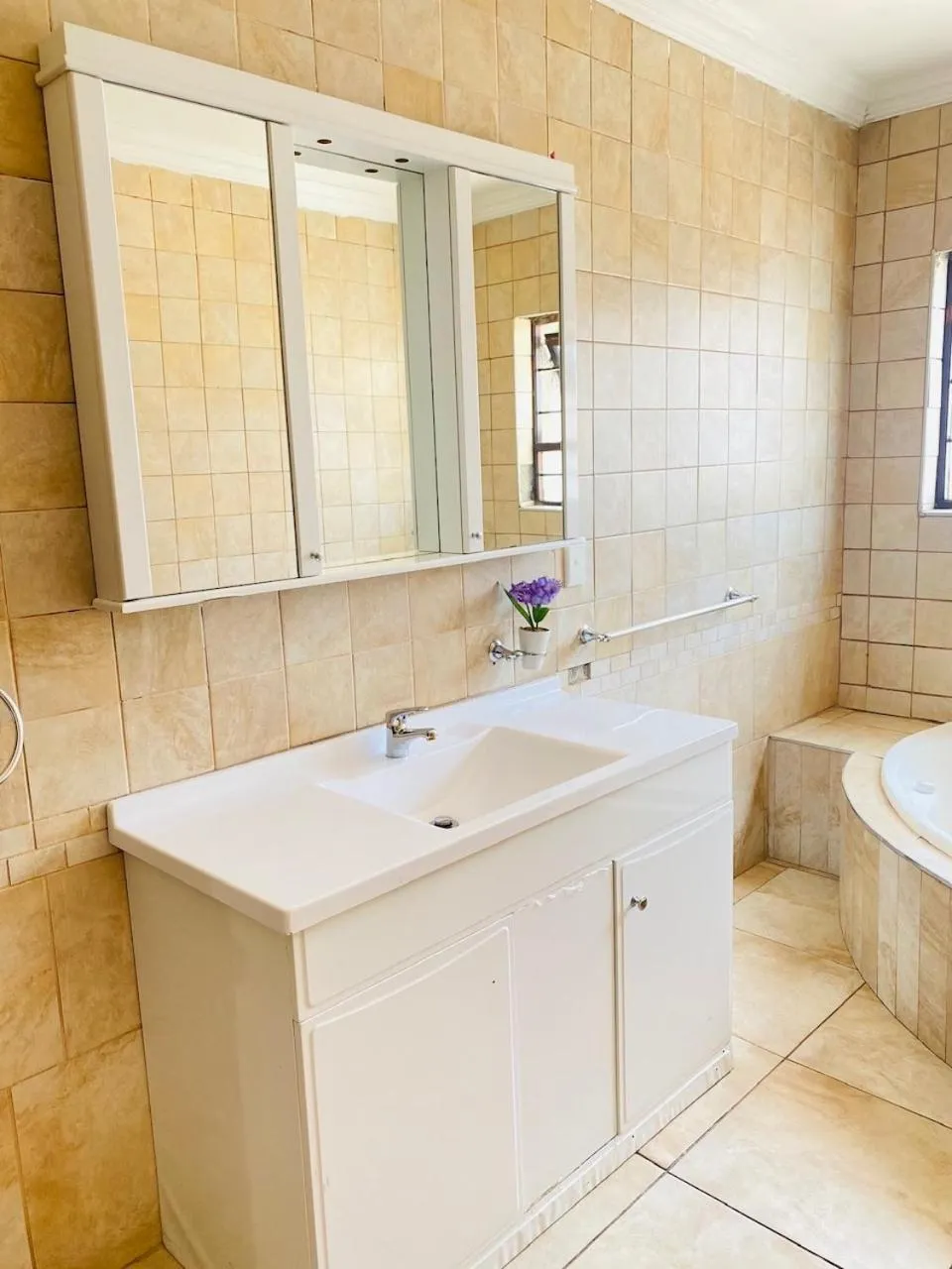 Toilet in Airport Royal Guest House