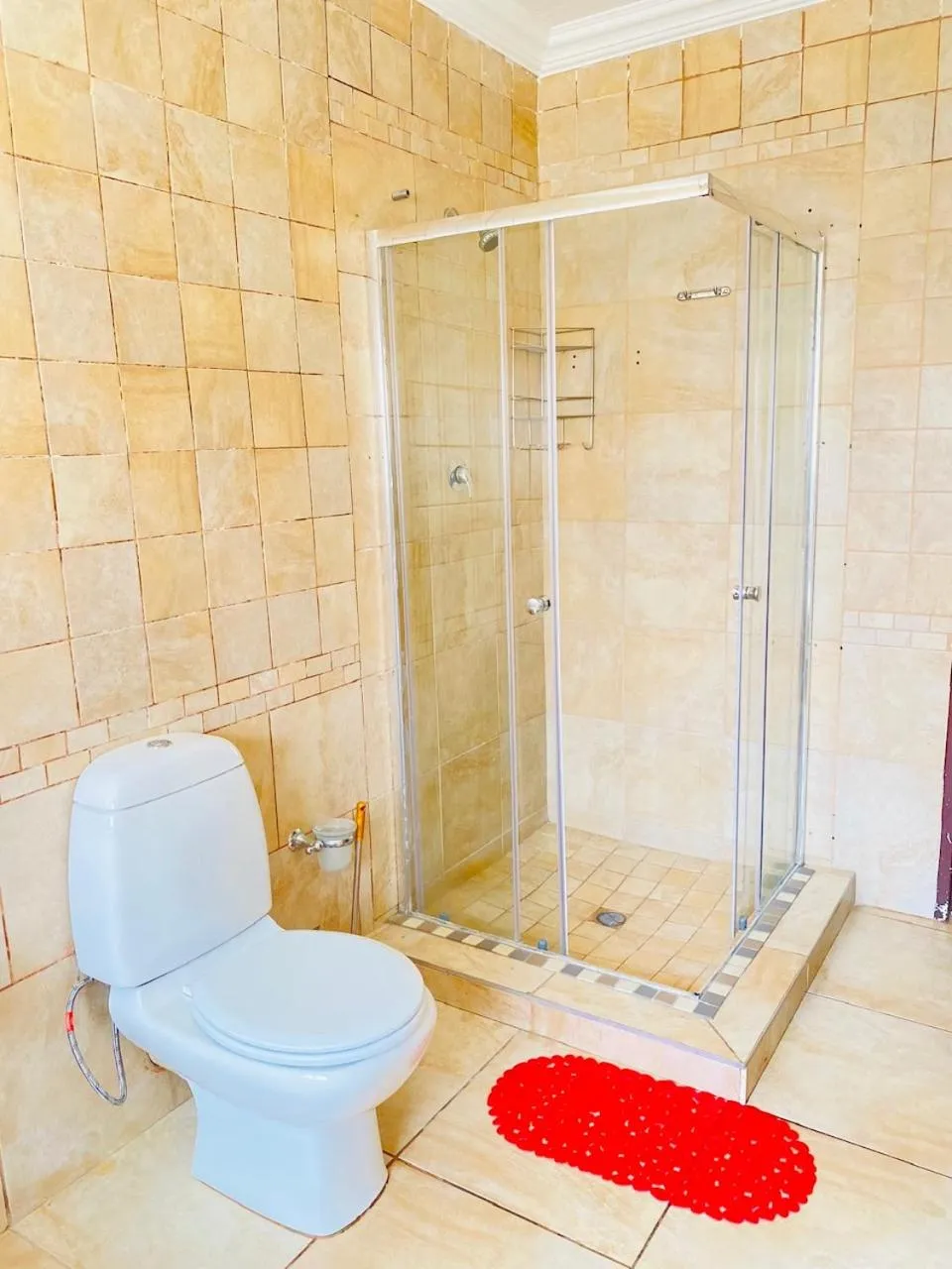 Shower in Airport Royal Guest House