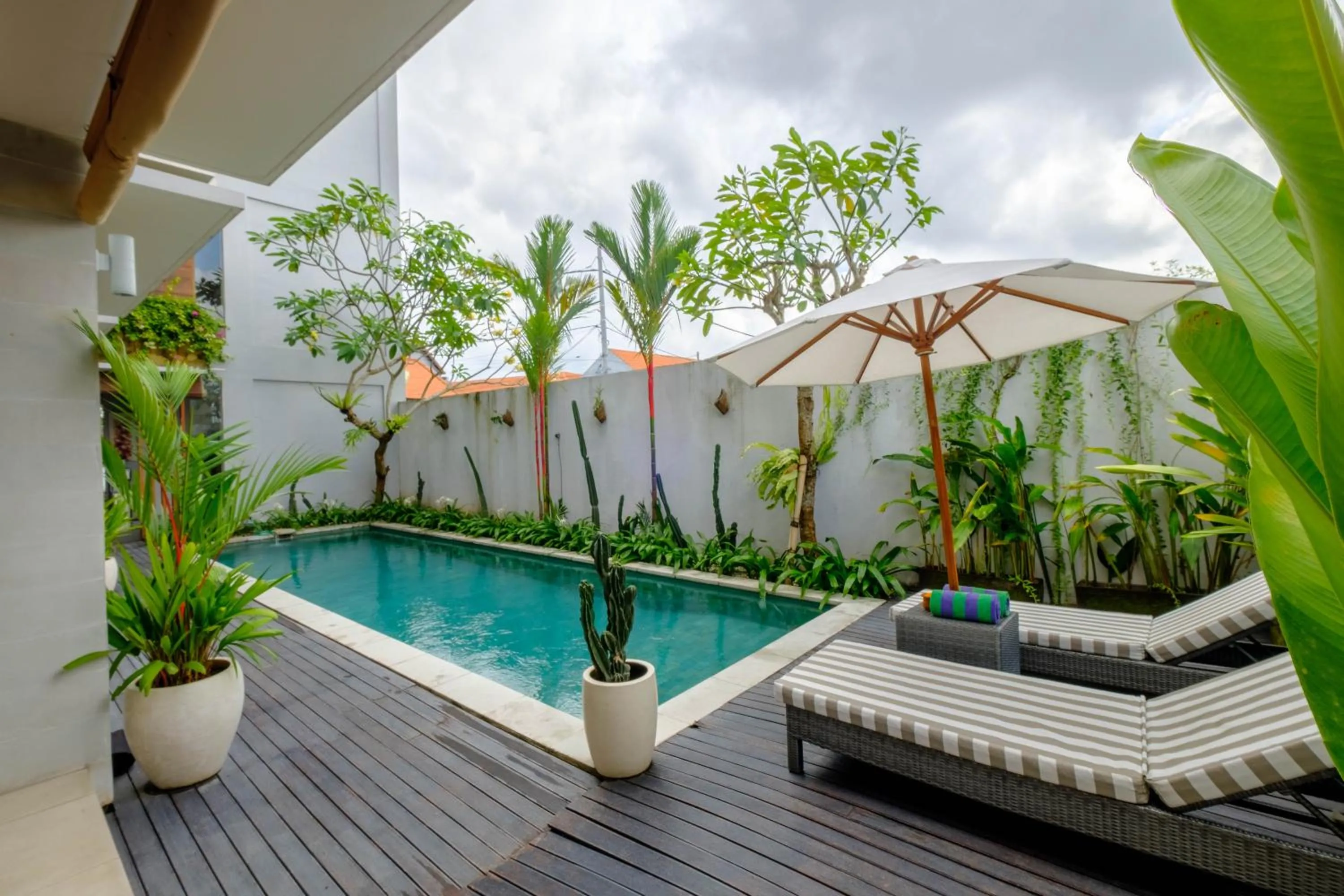 Swimming pool in Kubu Belona Canggu