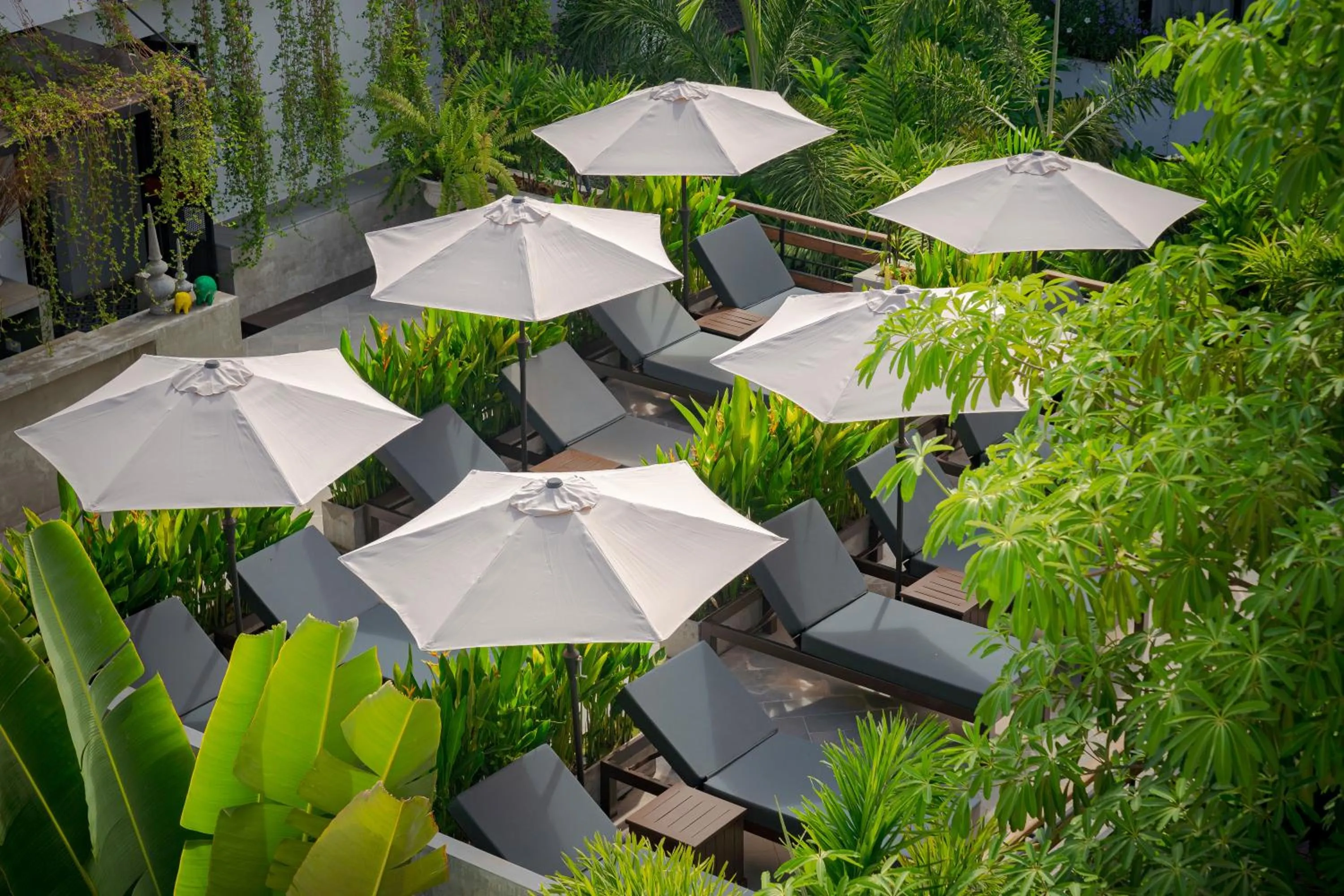 sunbed in Eightfold Urban Resort