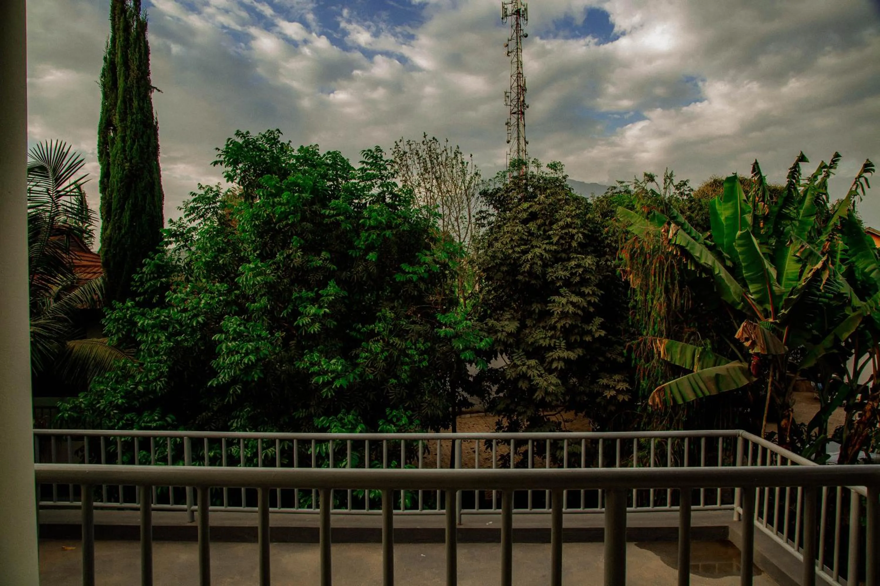 Property building in Bamboo Village