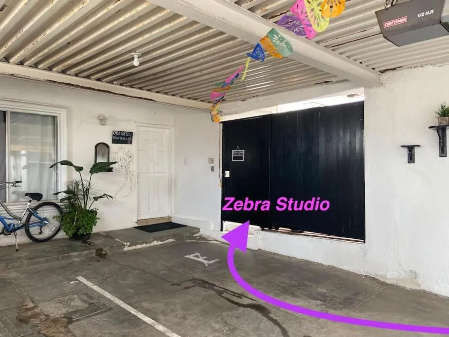 Zebra Studio