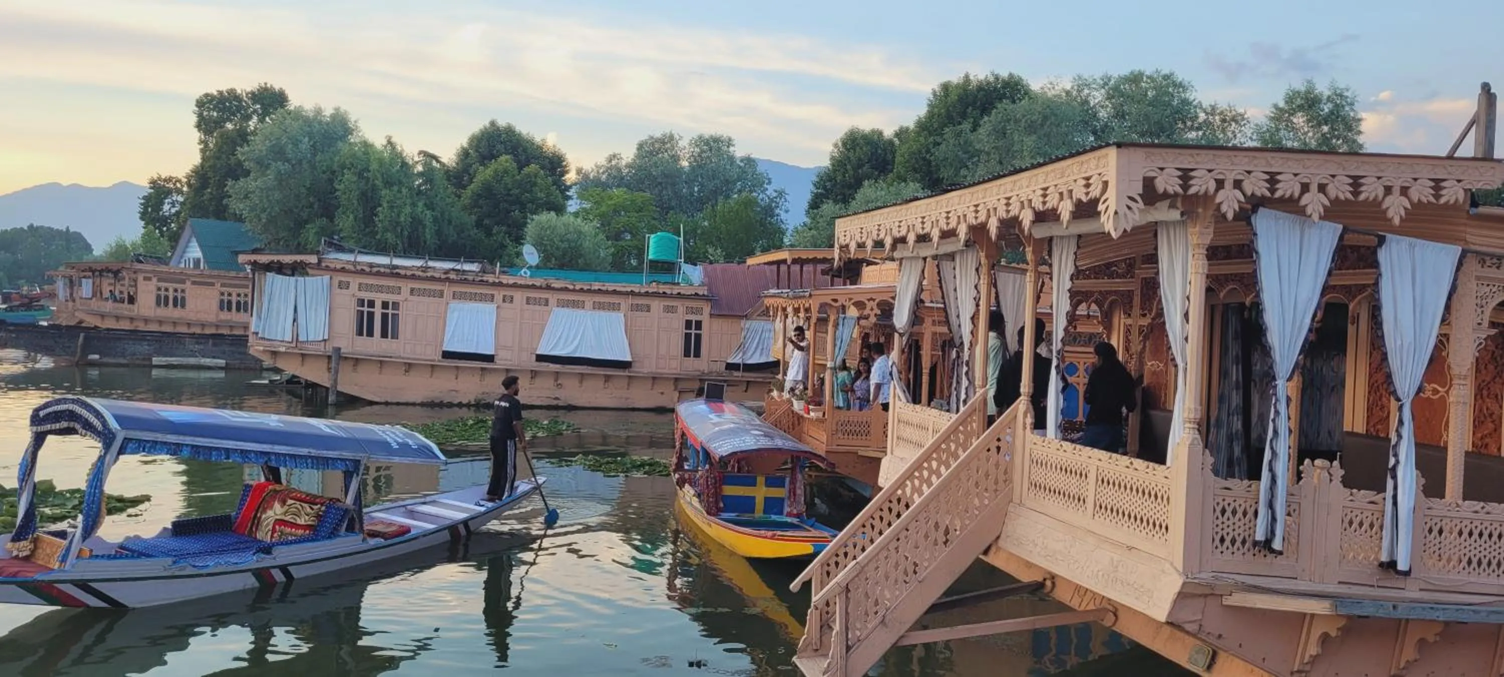 Lake view in Lily Of The World Houseboat