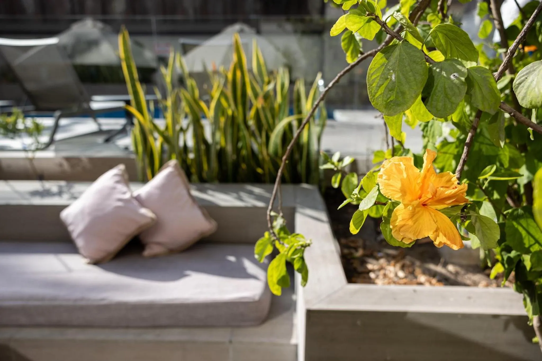 Other in Holiday Inn Express - Antofagasta by IHG