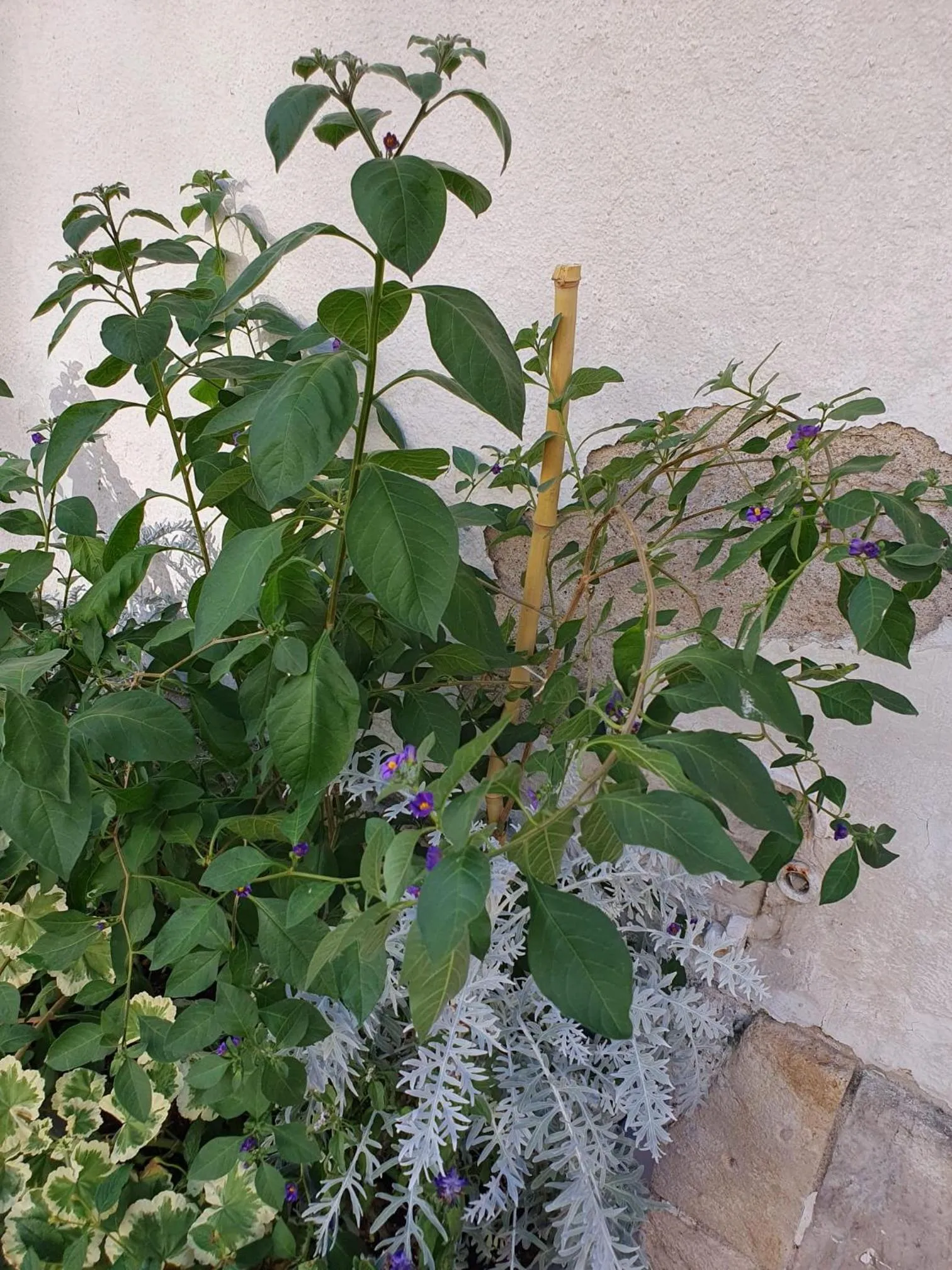 Facade/entrance in Quiétude au Bord de Loire.