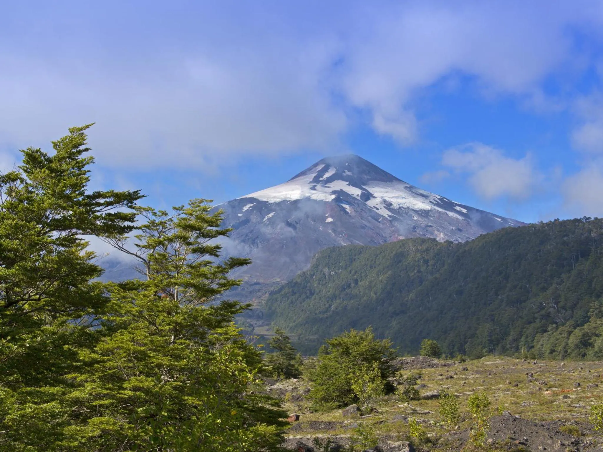 Natural landscape in Park Lake Luxury Hotel