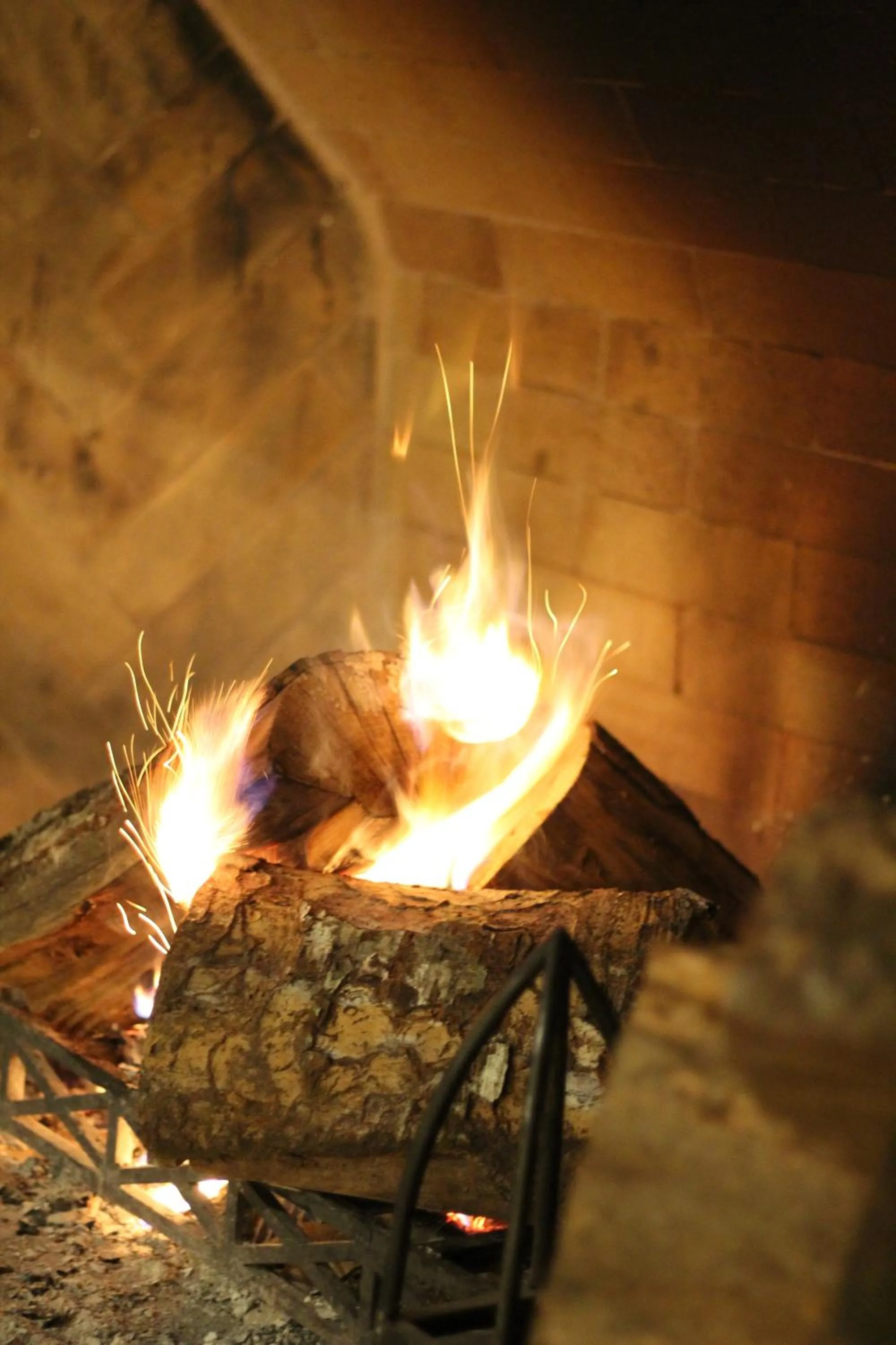 fireplace in Park Lake Luxury Hotel