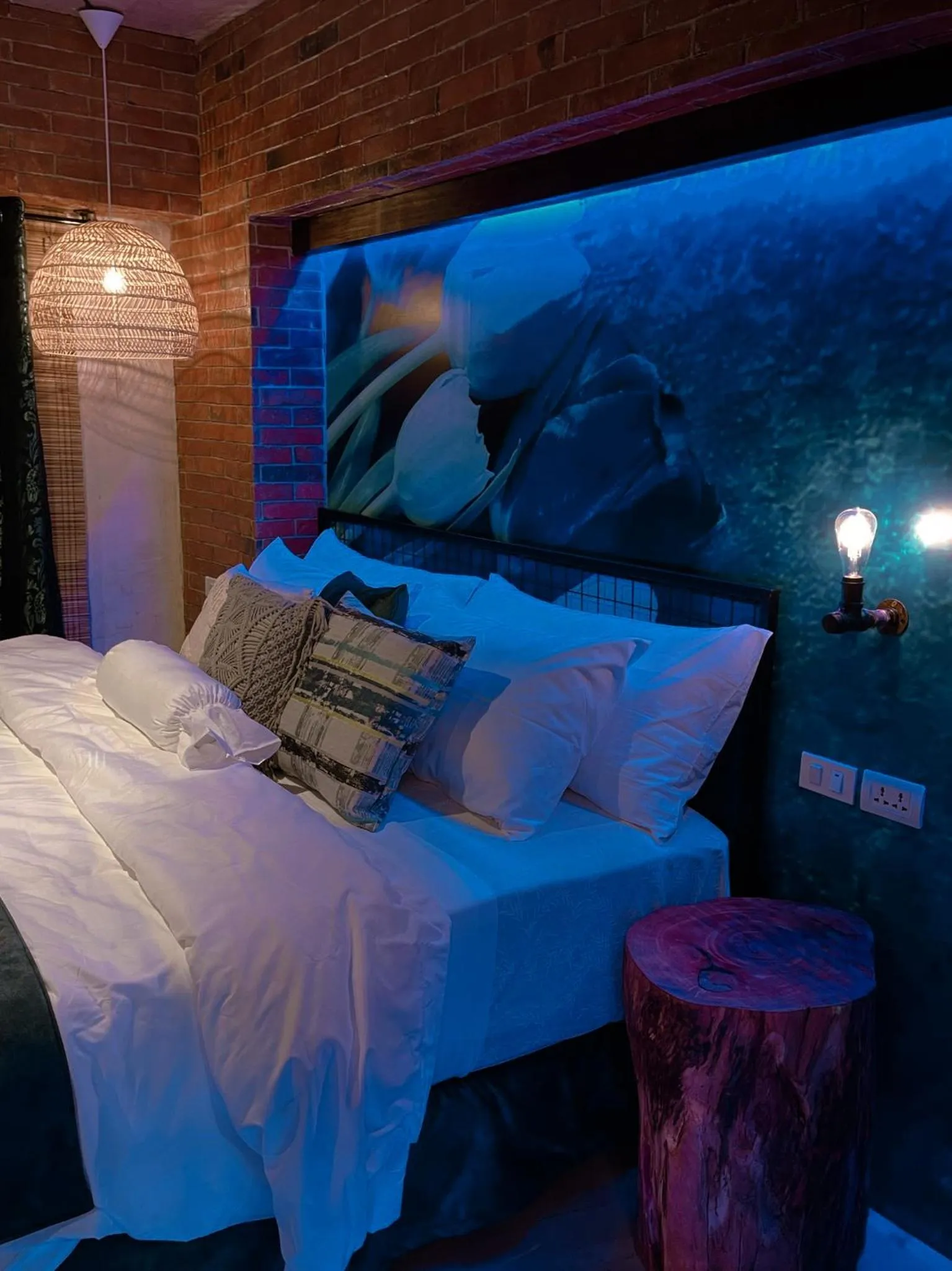 Bed in Blue Tulip - 4mins from Mactan Airport