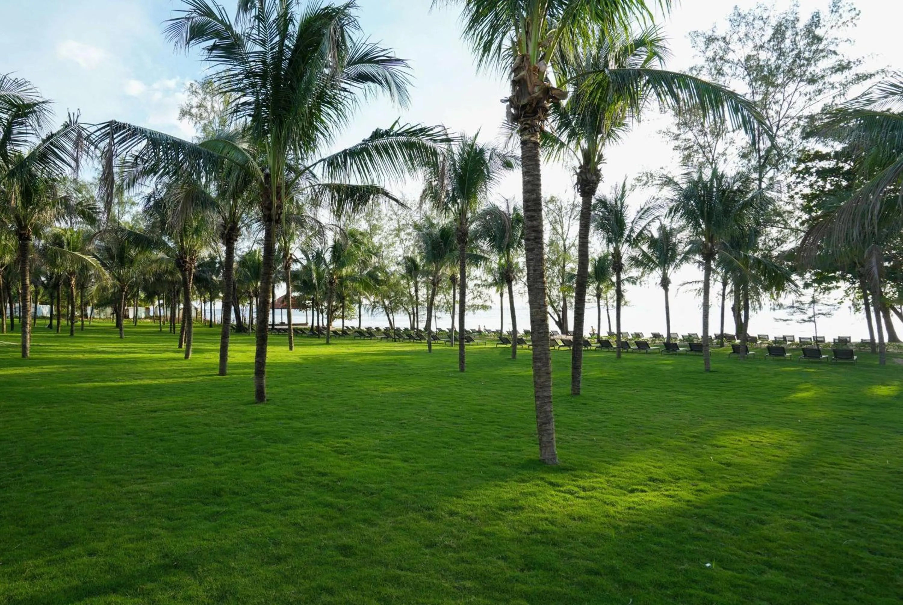 Other in Wyndham Garden Grandworld Phu Quoc