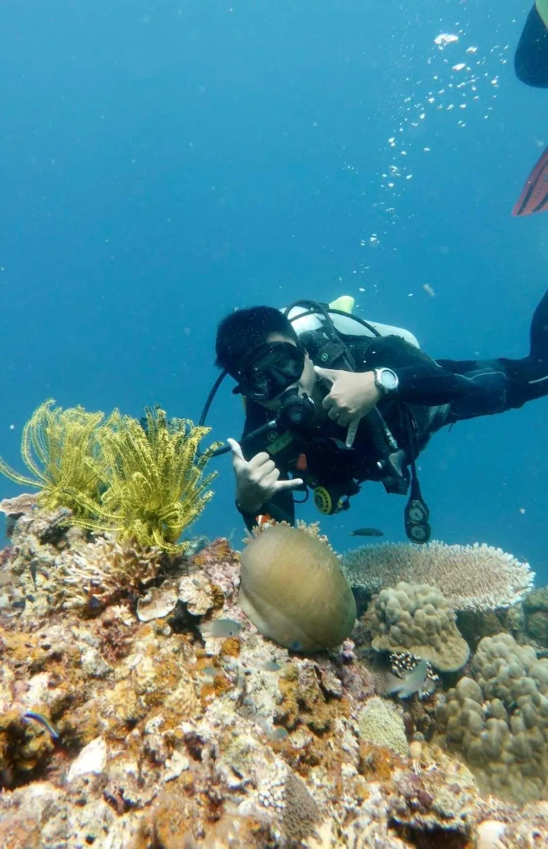 Diving in The Beach House
