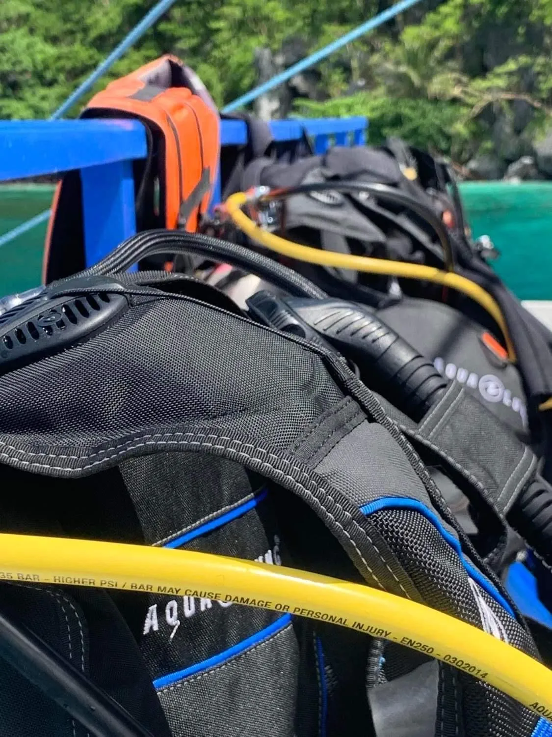 Diving in The Beach House