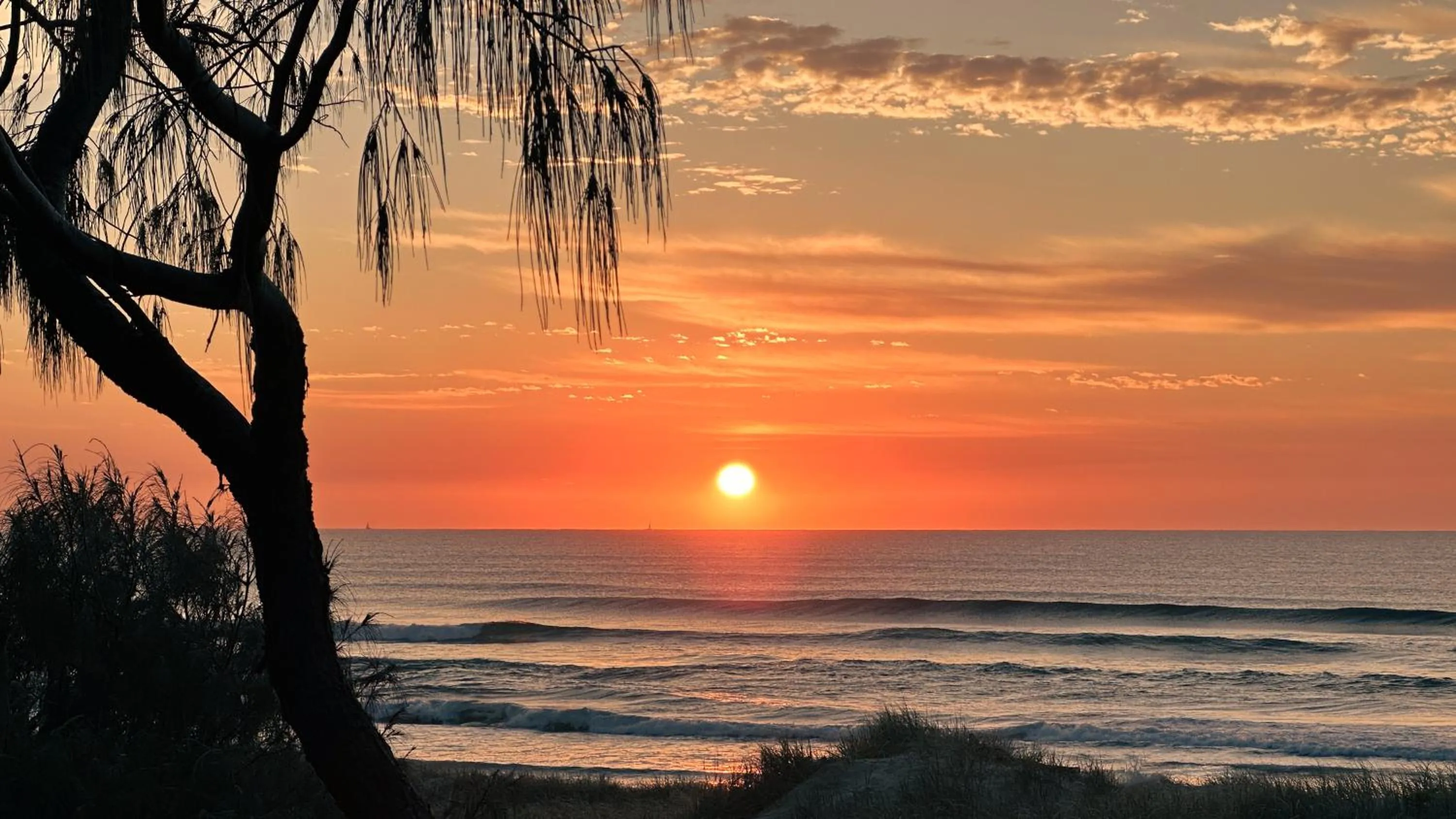 Beach in Essence Peregian Beach