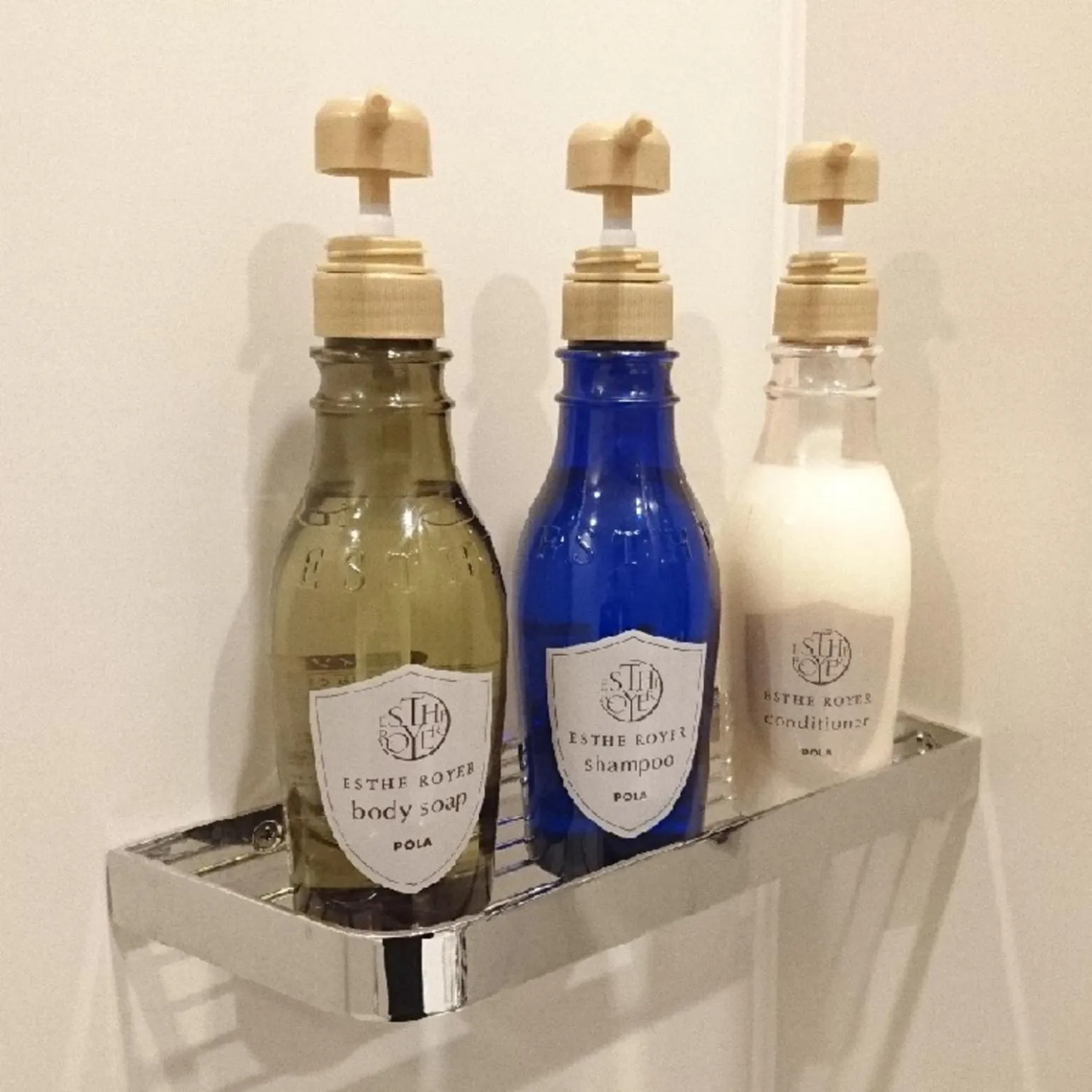 Hiroshima Grand Intelligent Hotel