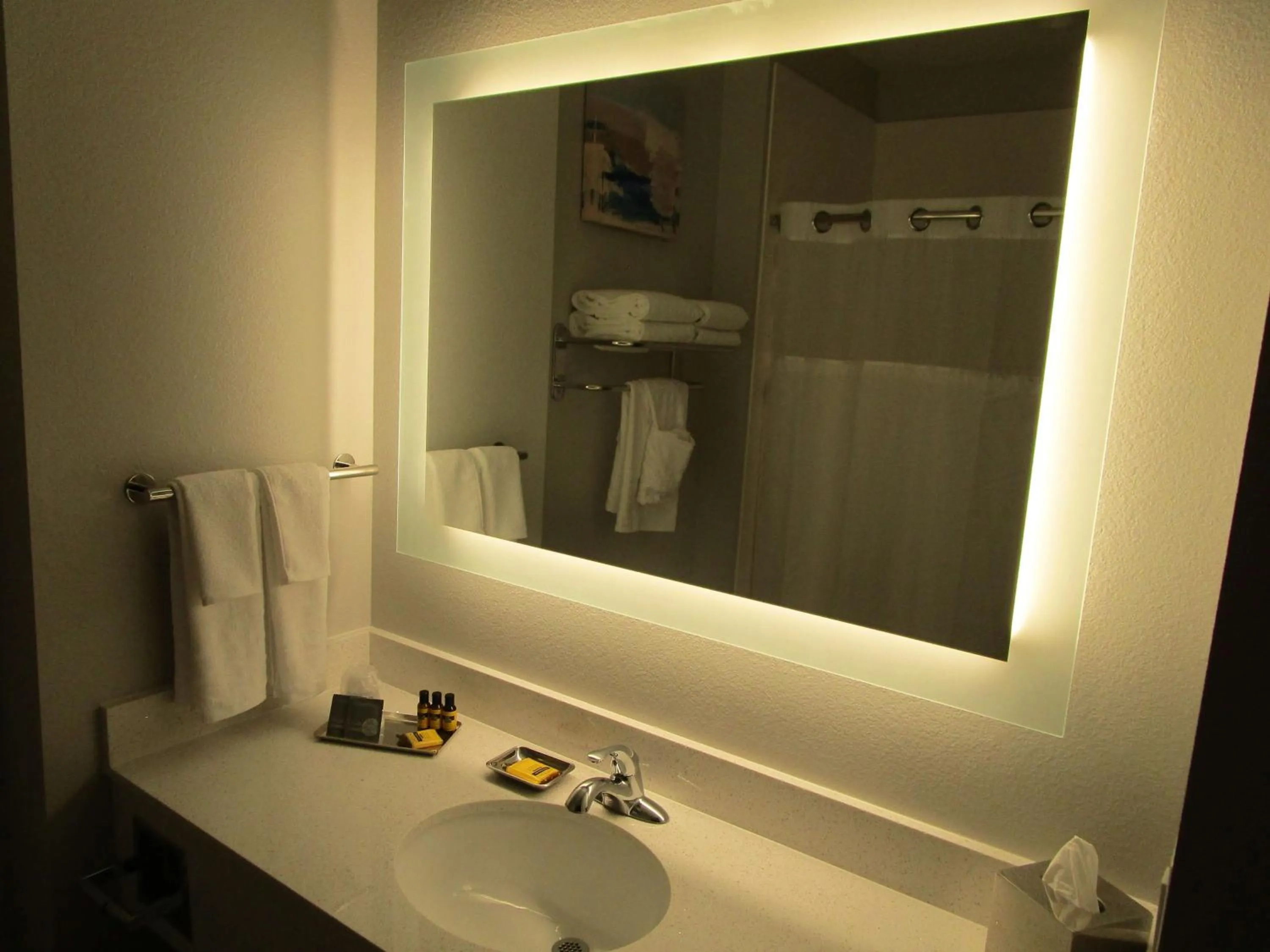 Bathroom in Reddy Hotel Bonham