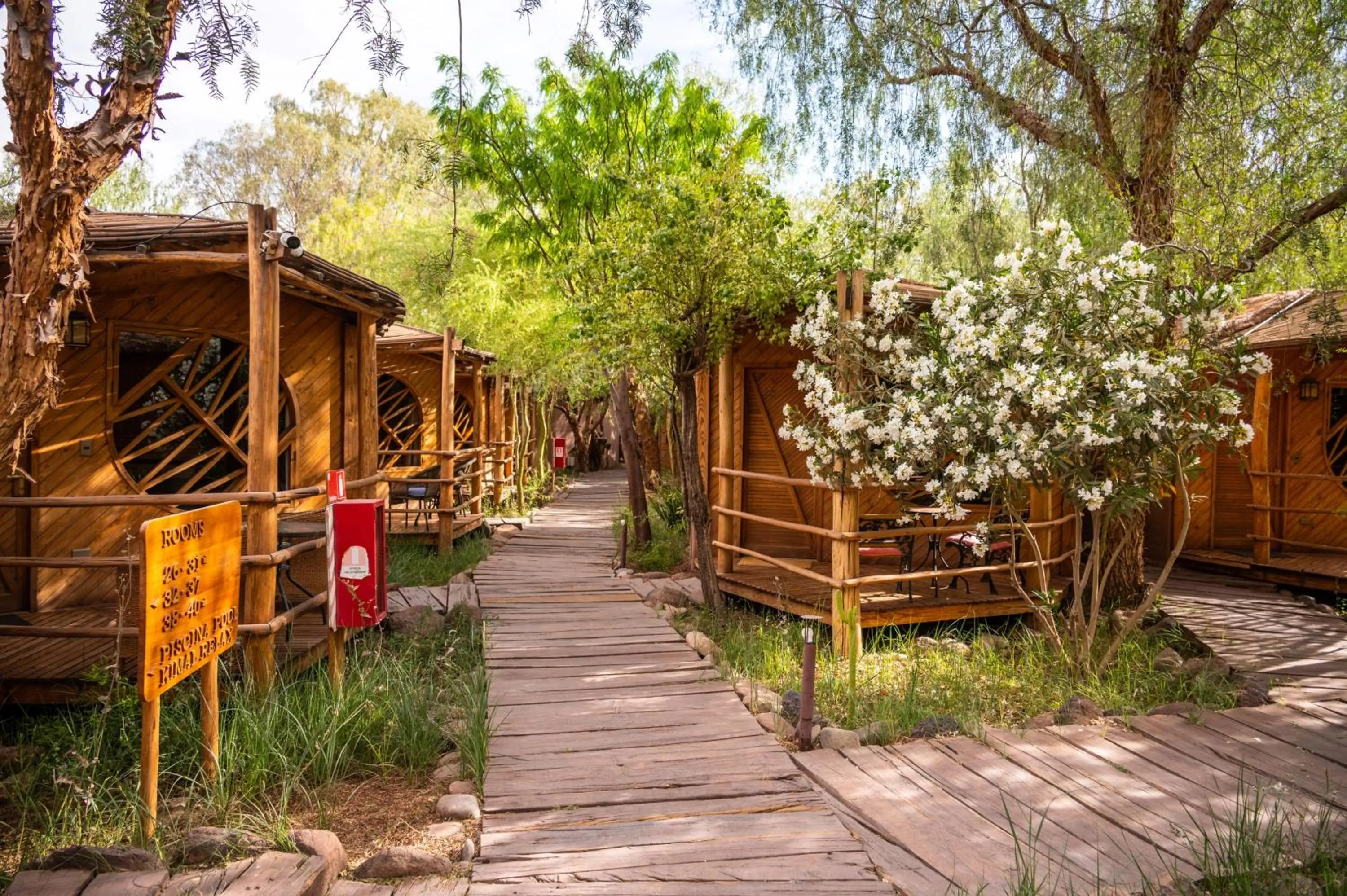Garden in Hotel Kimal