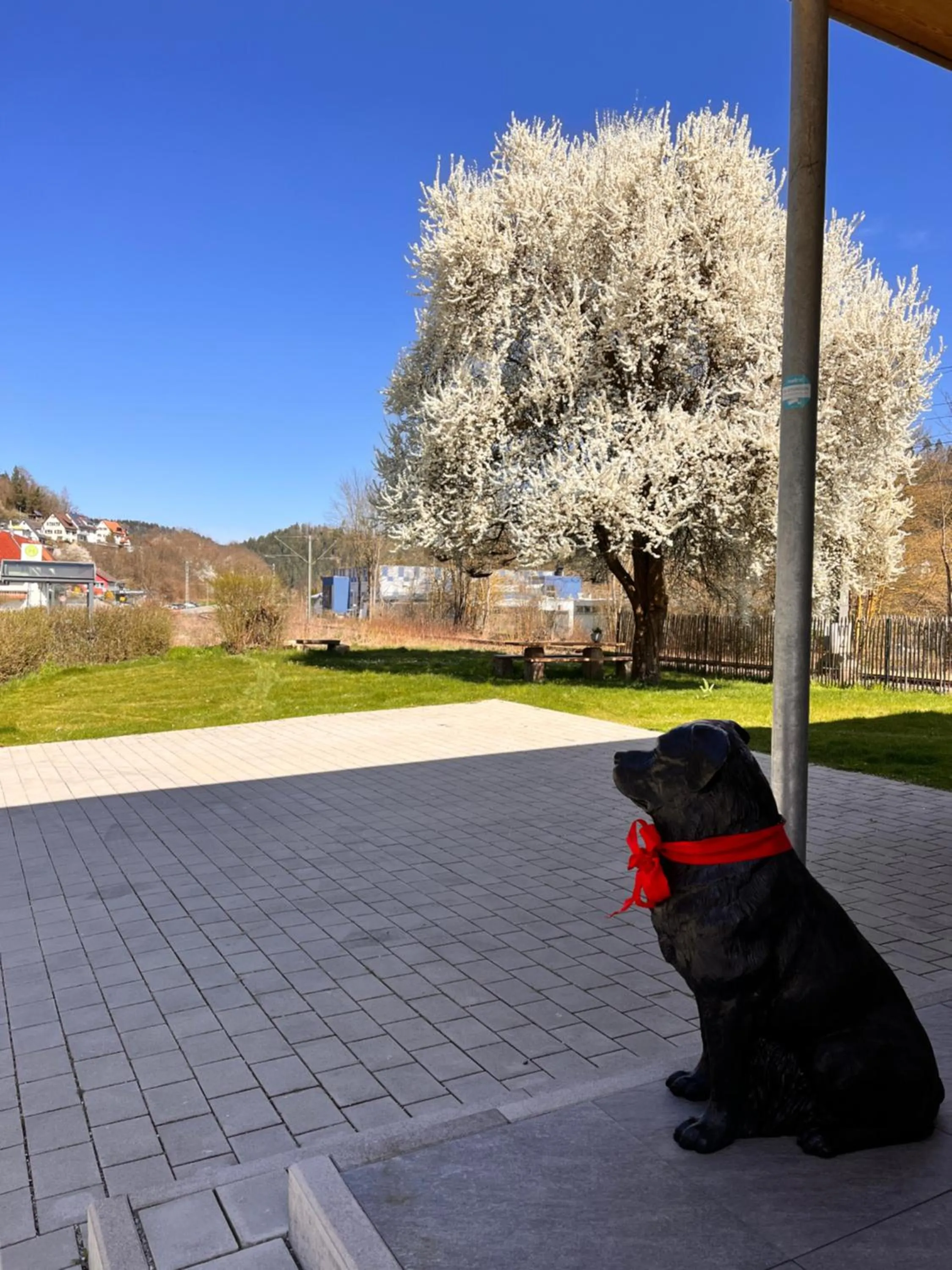 Garden in DAS GEORG Gästehaus in Epfendorf