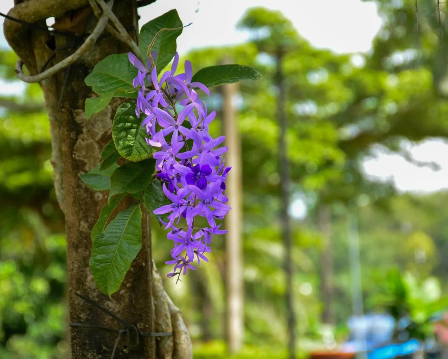 Day in Da-Kanda Boutique