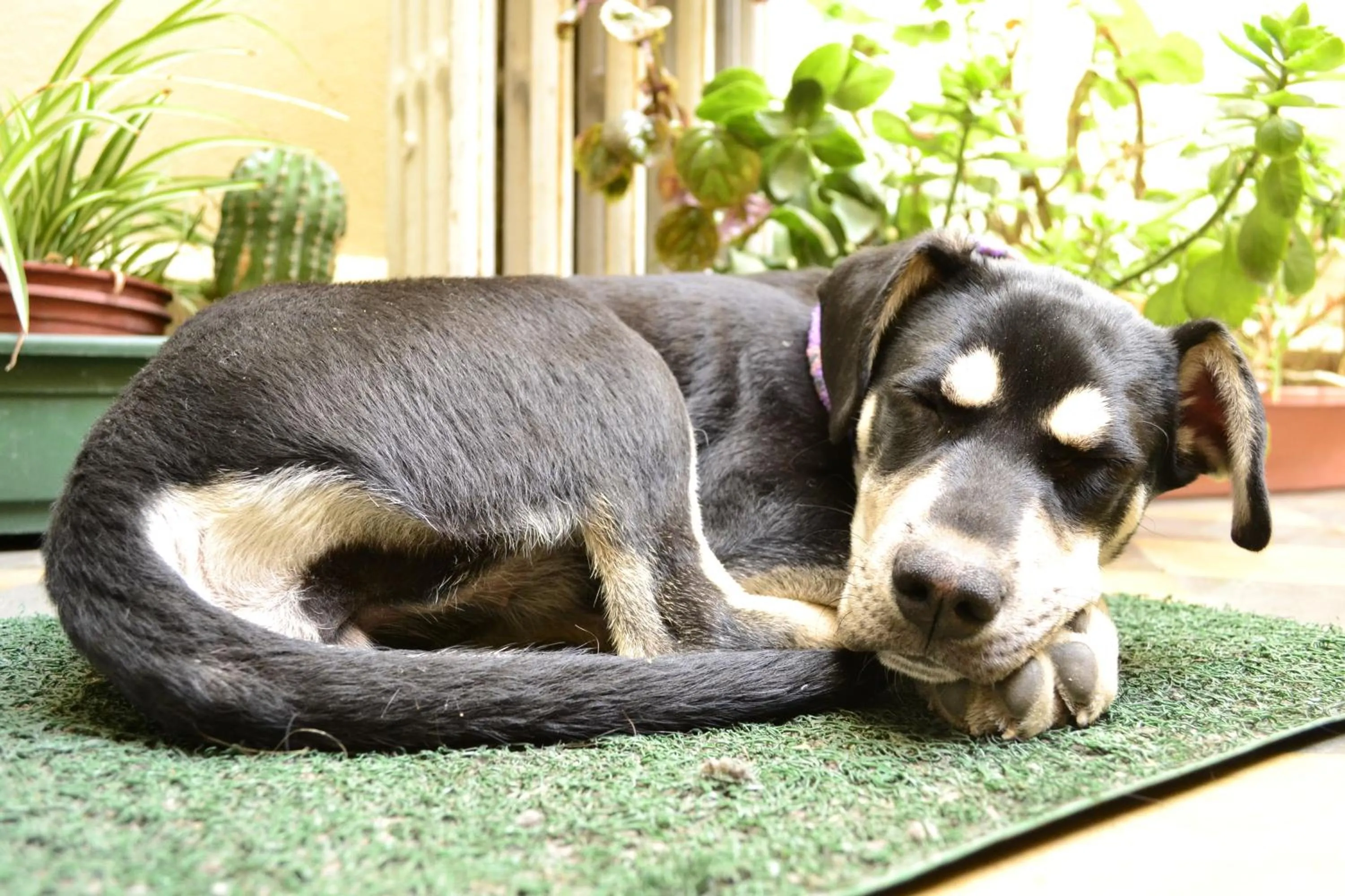 Other in Hostal Rio Amazonas