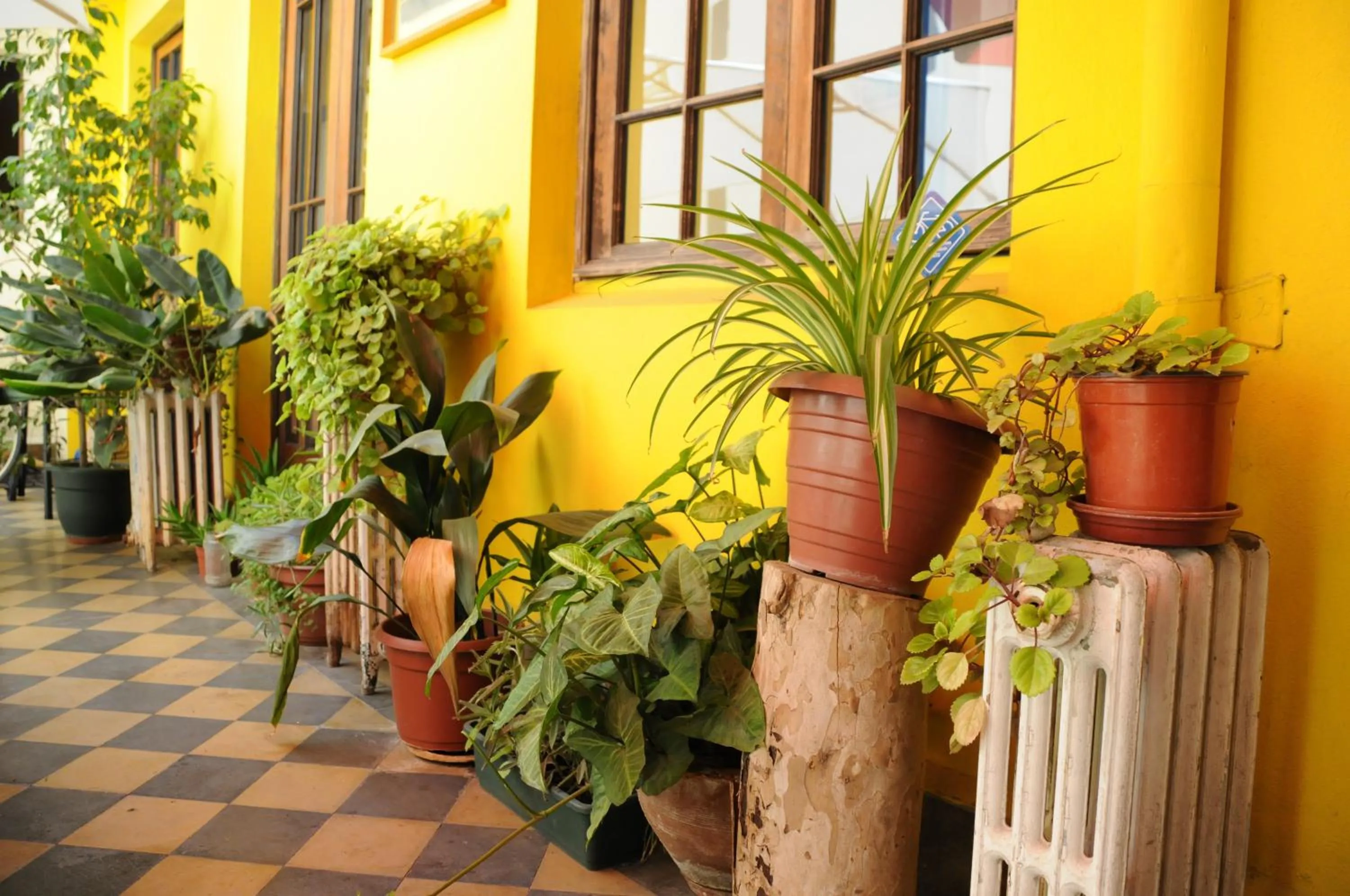 Decorative detail in Hostal Rio Amazonas