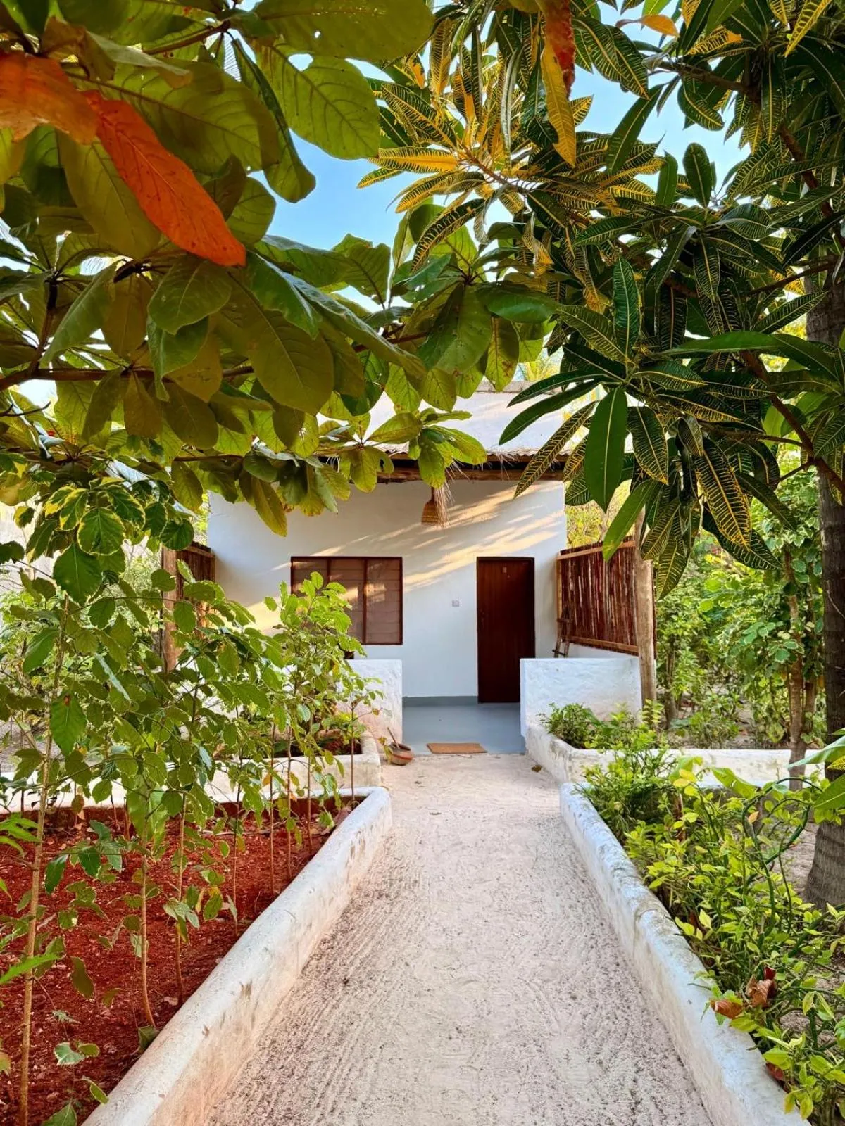 Patio in Karanga Bungalows
