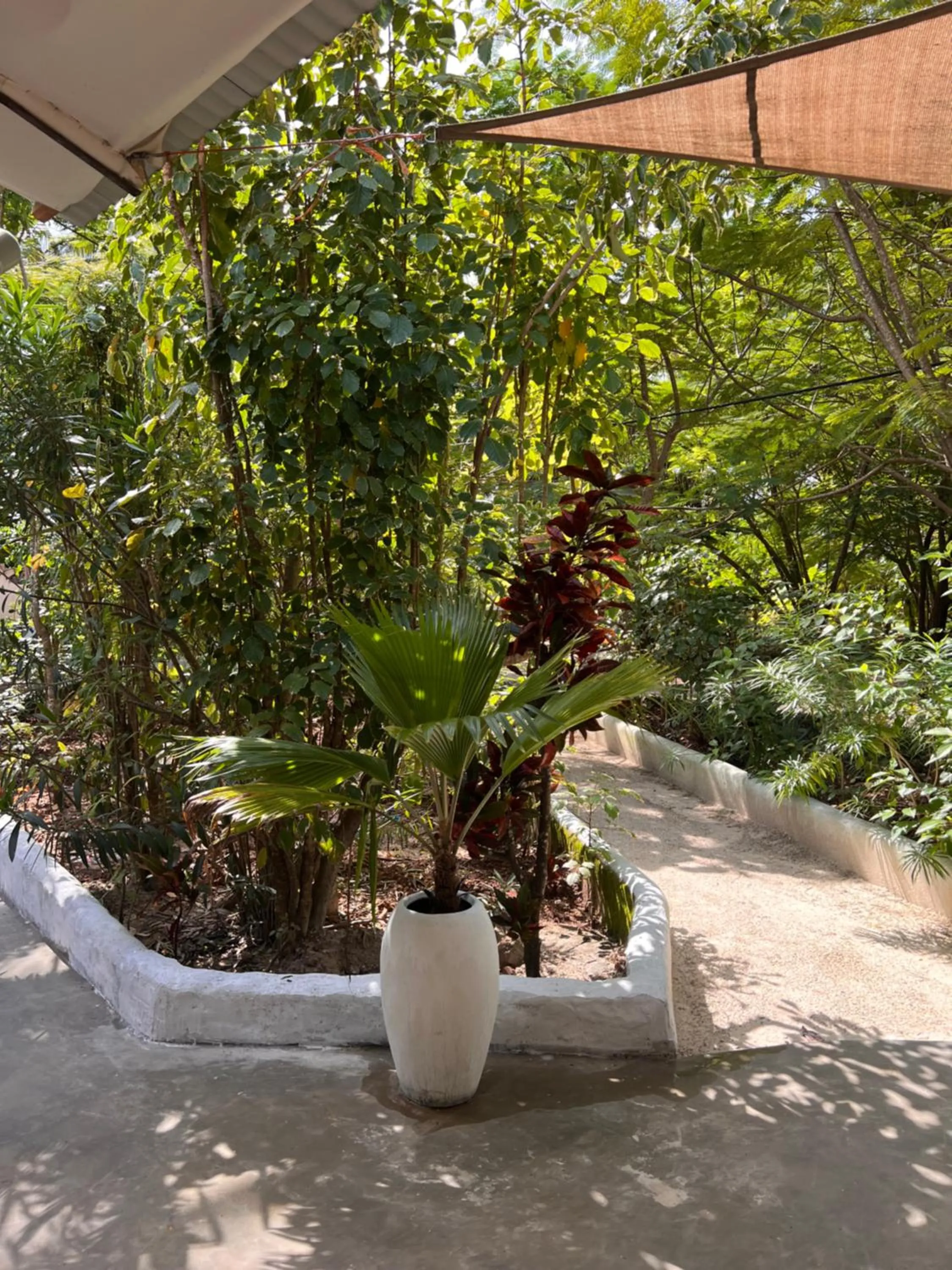 Garden in Karanga Bungalows