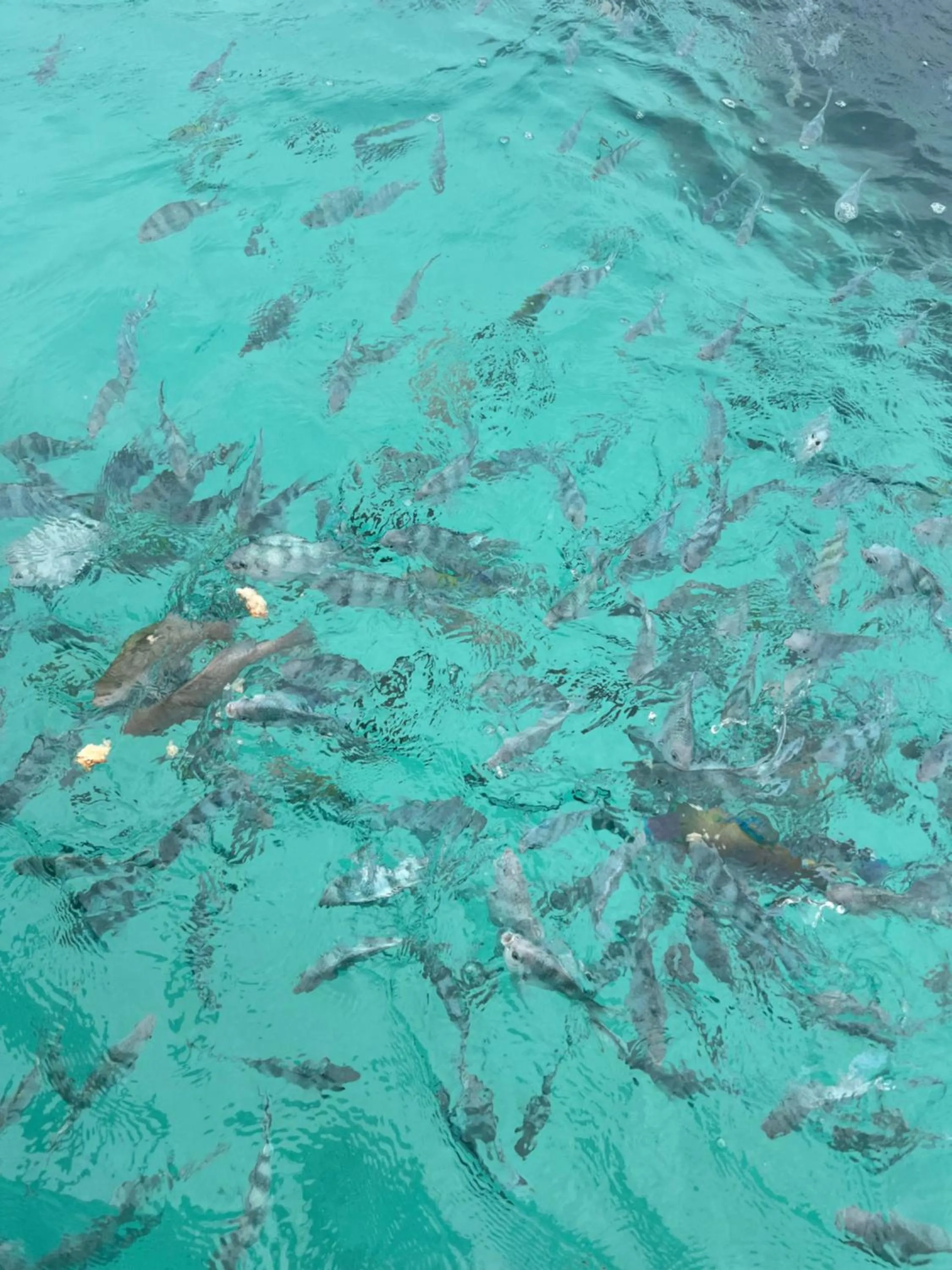 Property building in Karanga Bungalows